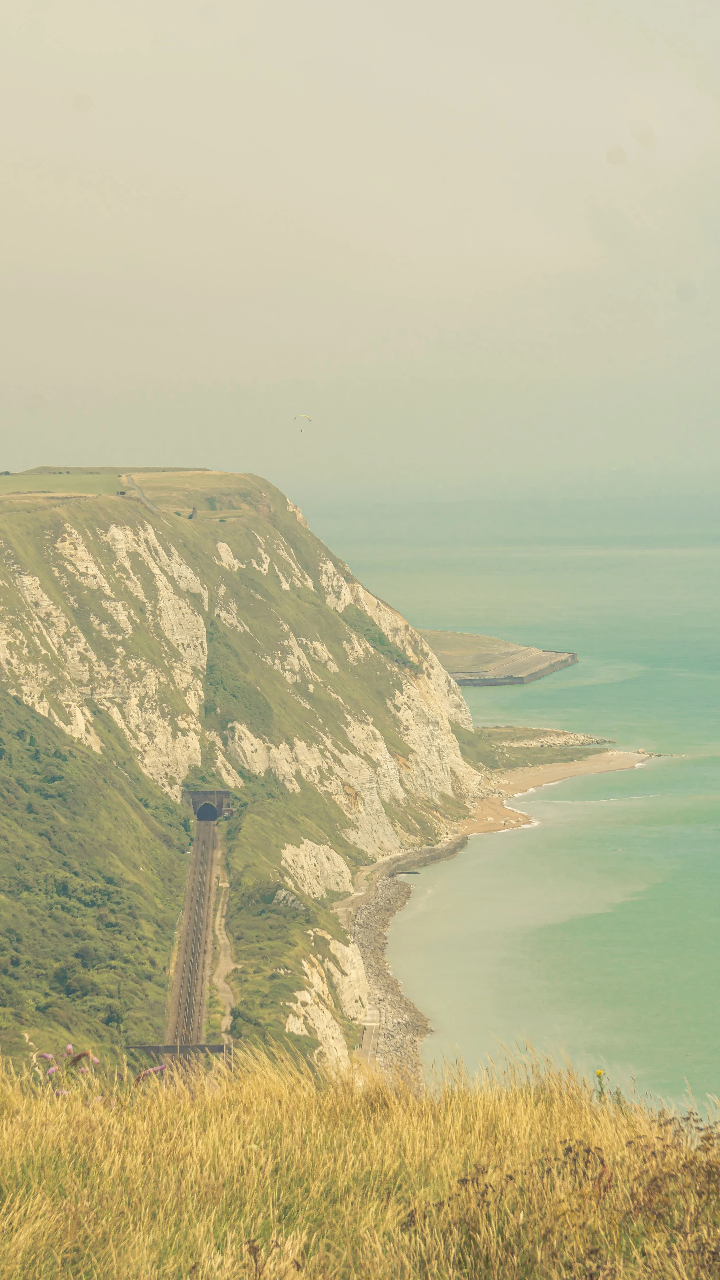 Cliffs overlooking the sea with a train tunnel in the hillside and grassy foreground