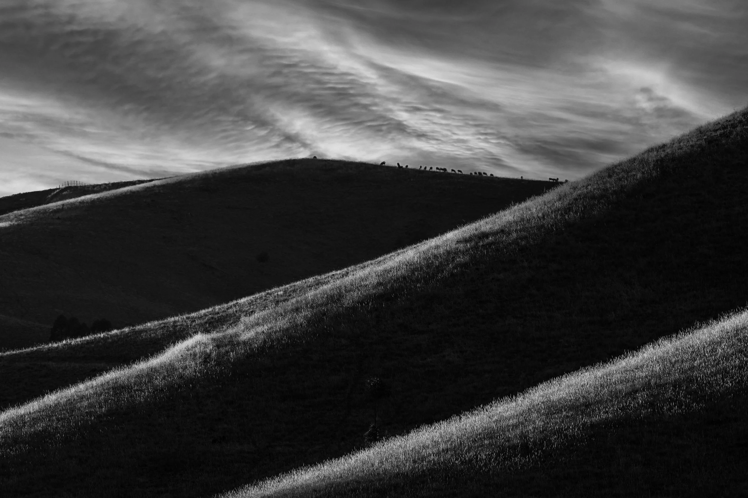 Last Light, Hills of Beechworth