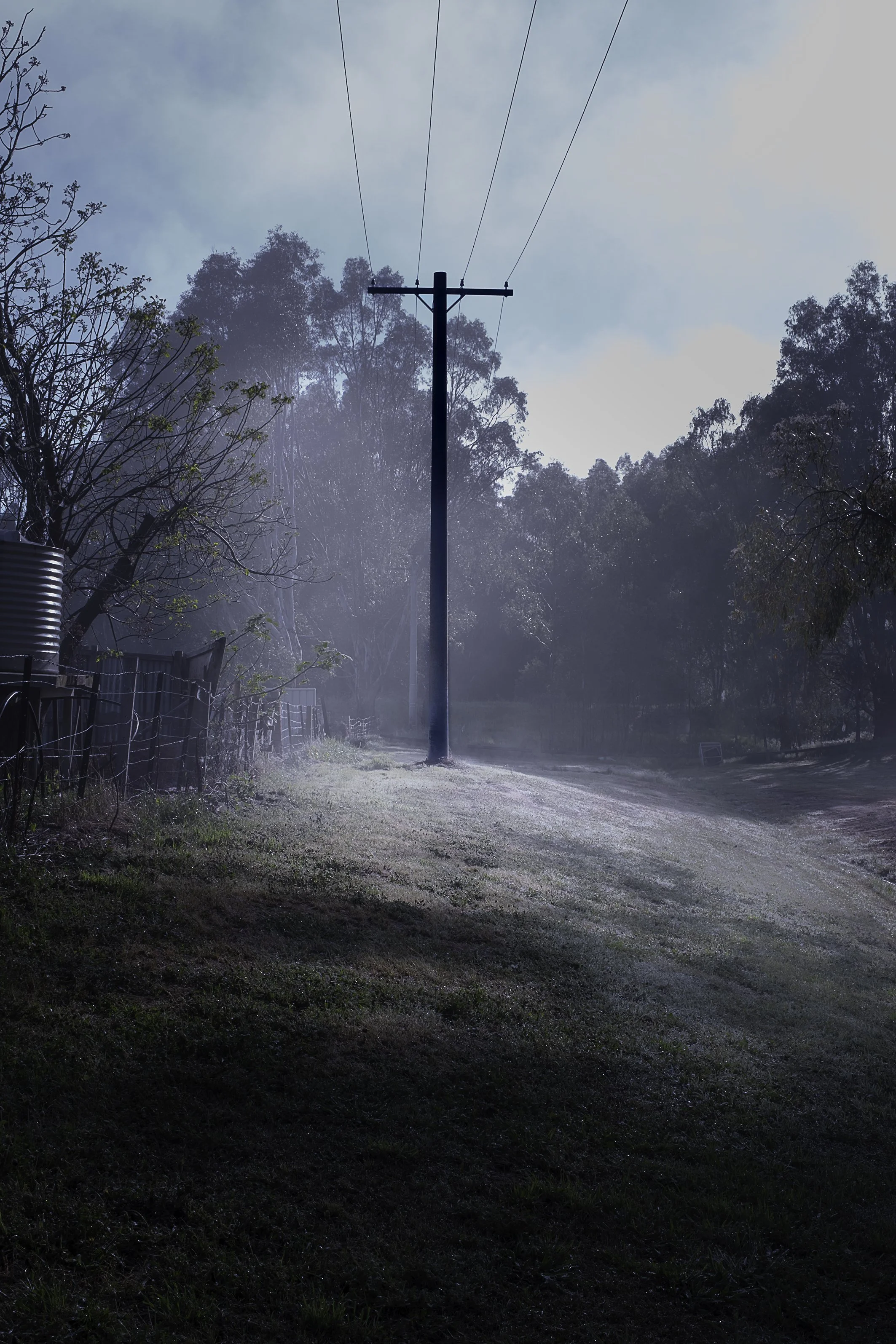 Foggy morning in Wangaratta.