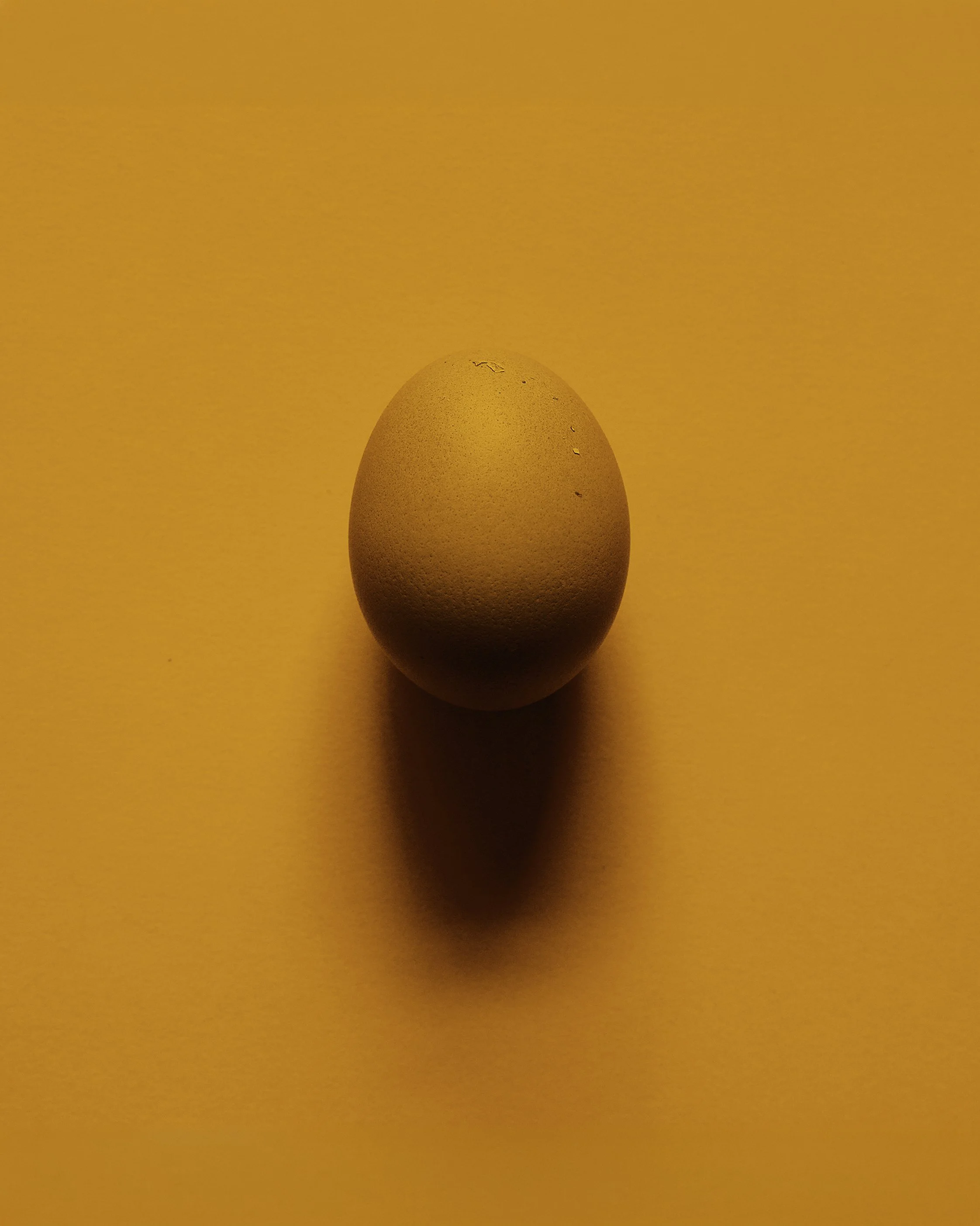 Orange Egg Mattinson Food Photography 4x5.jpg