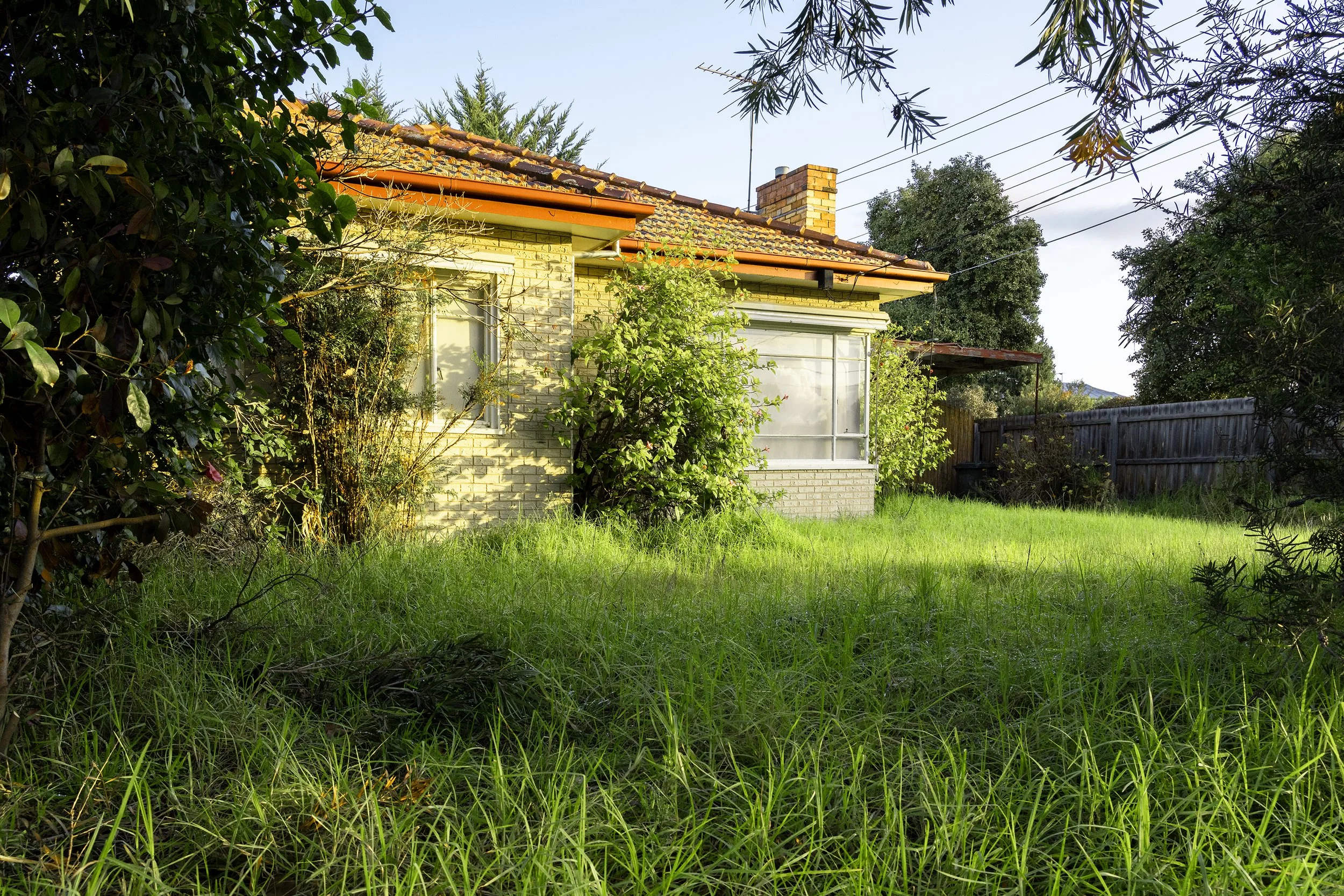 Overgrown house in Civic Parade Altona, just prior to demolition.