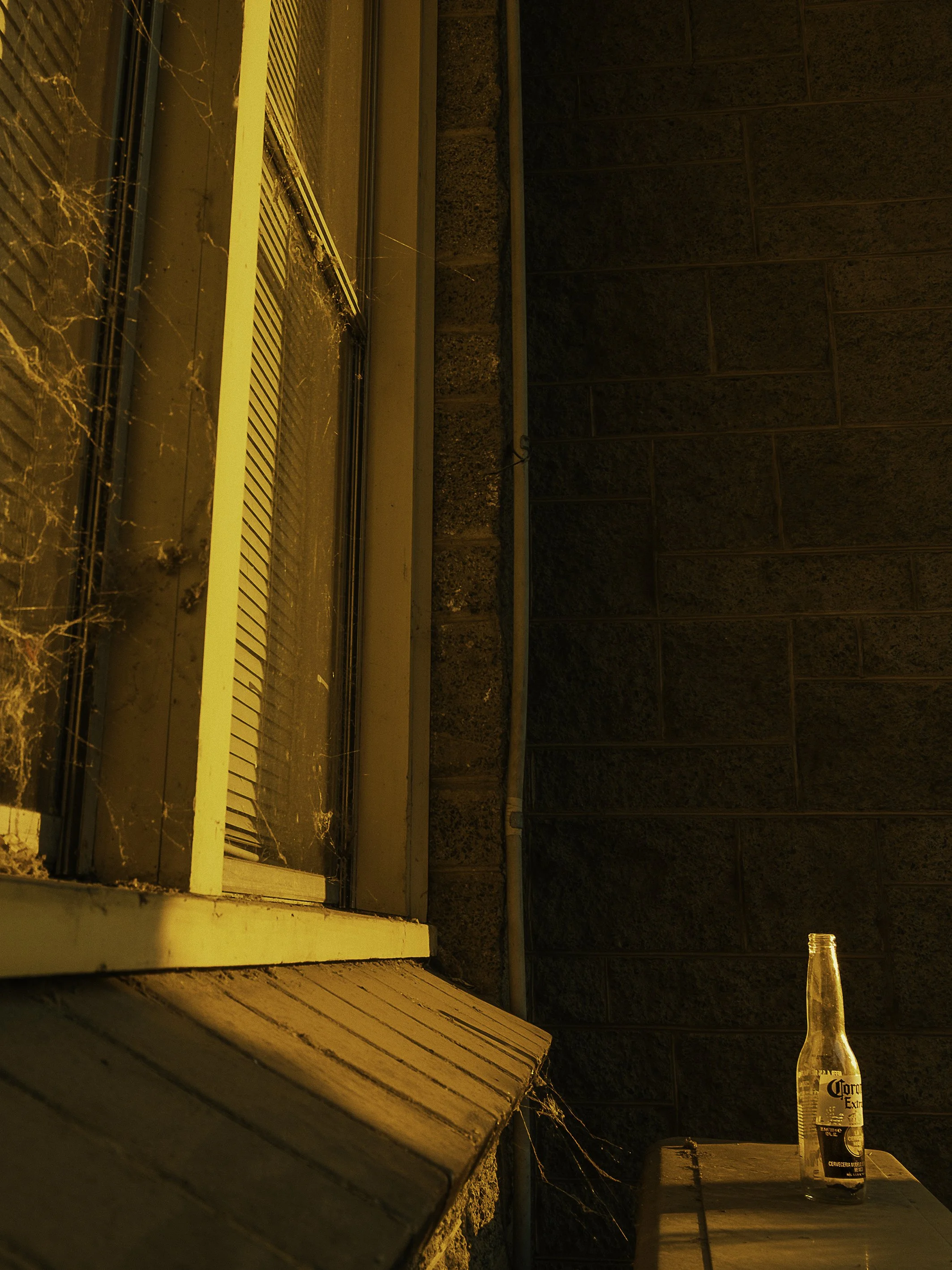 Deep golden summer sun hits a bottle of corona beer on the window sill of a building in the CBD of Wangaratta.