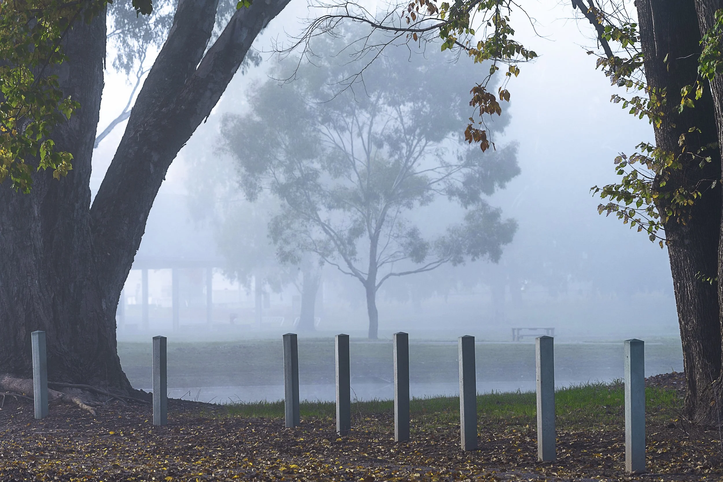 Apex Park on a foggy morning in Wangaratta.