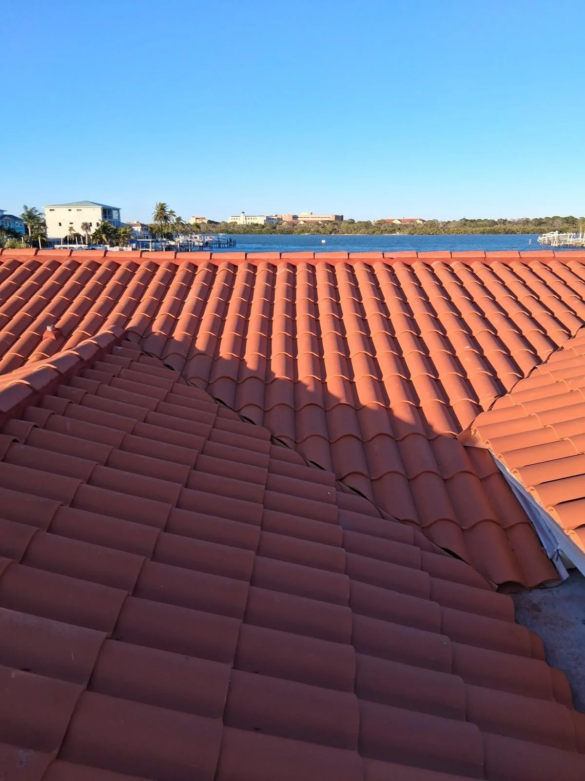 PHOTO-2026-01-22-14-44-25 (3).jpg