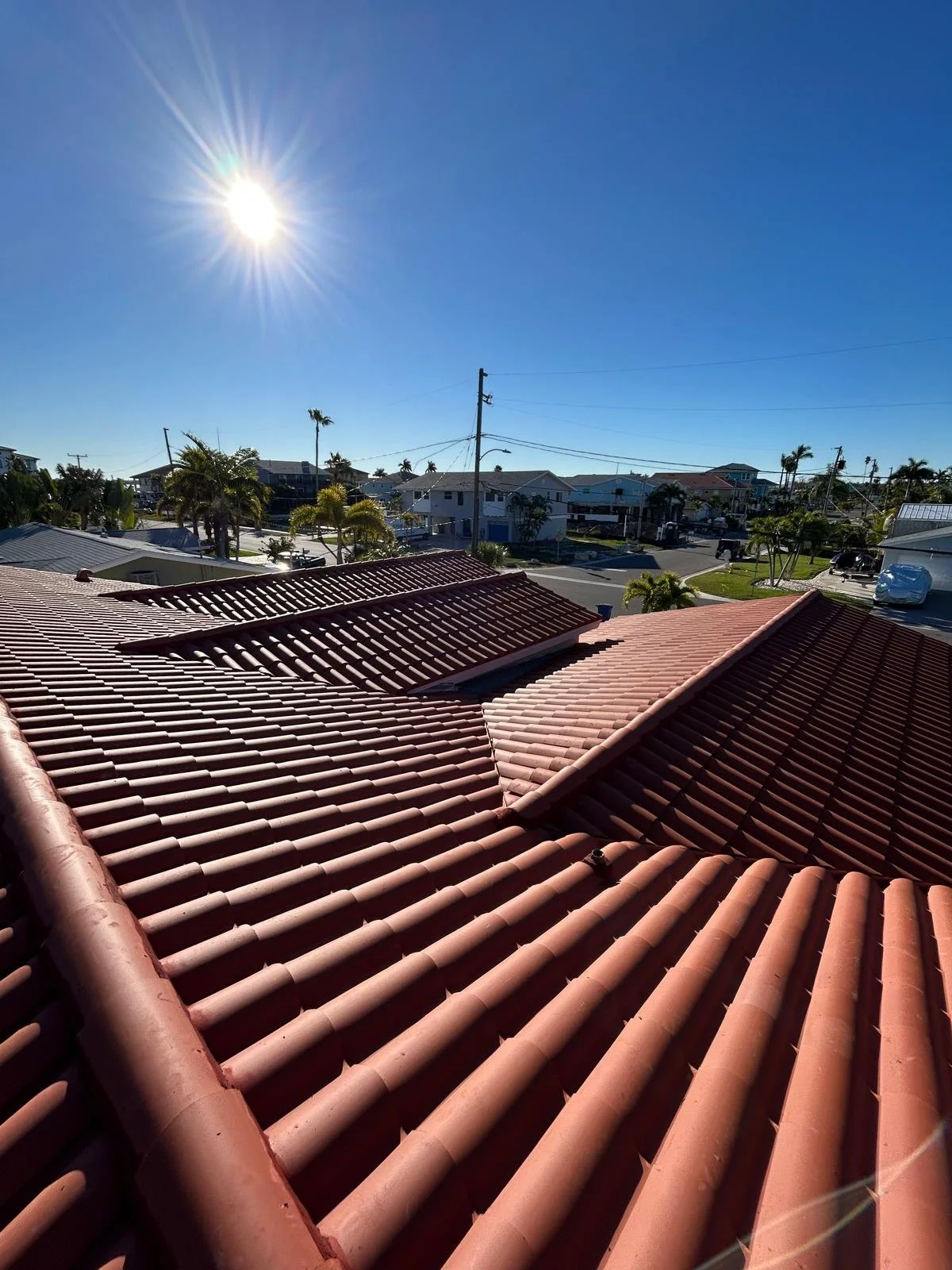 PHOTO-2026-01-22-14-44-25 (2).jpg