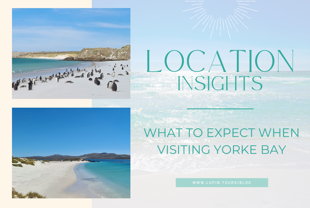 What to Expect When Visiting Yorke Bay