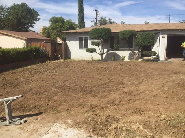 yard before.JPG