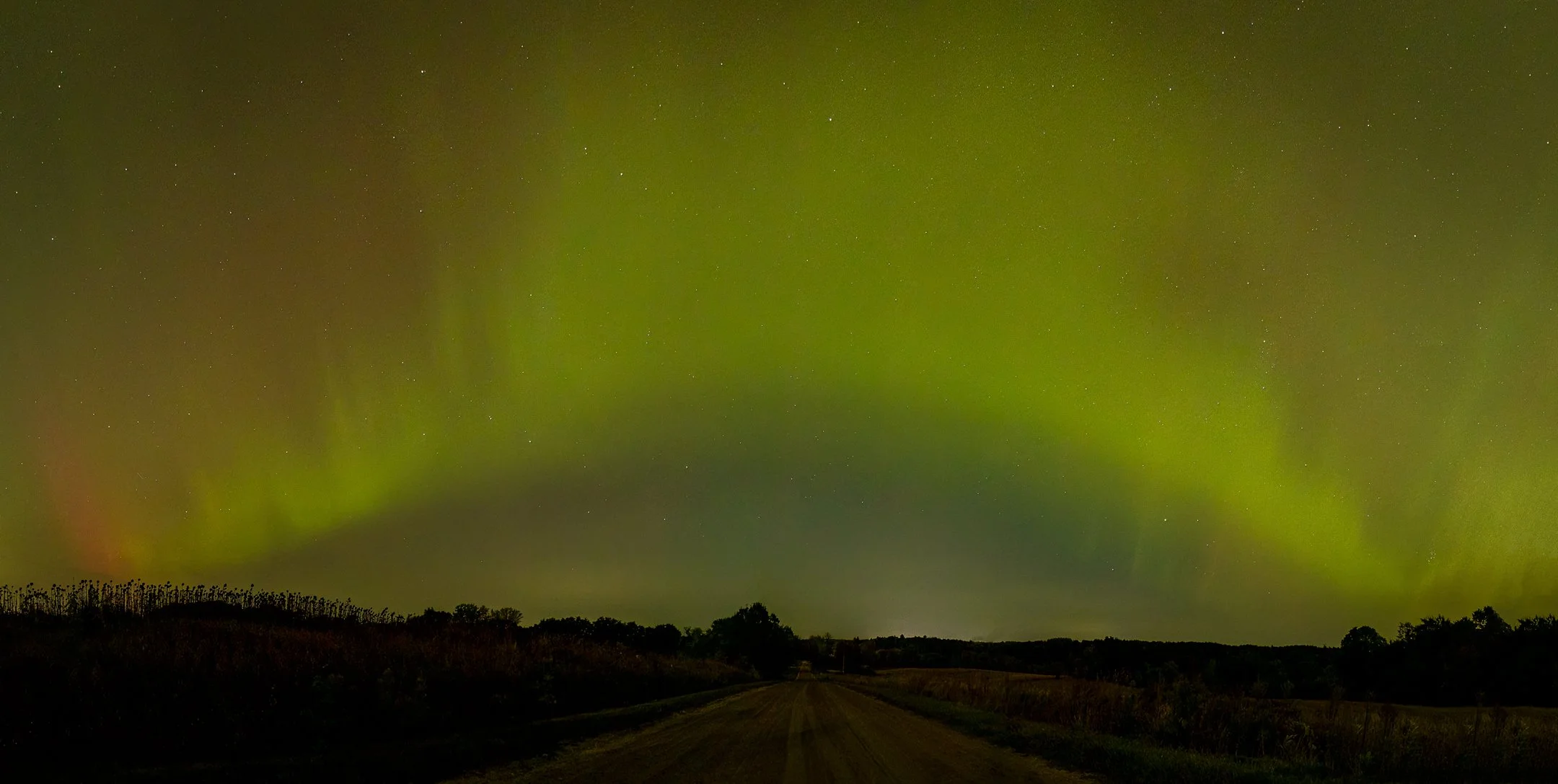 S | Green Aurora Arch | Rebecca Humes | Score: 21