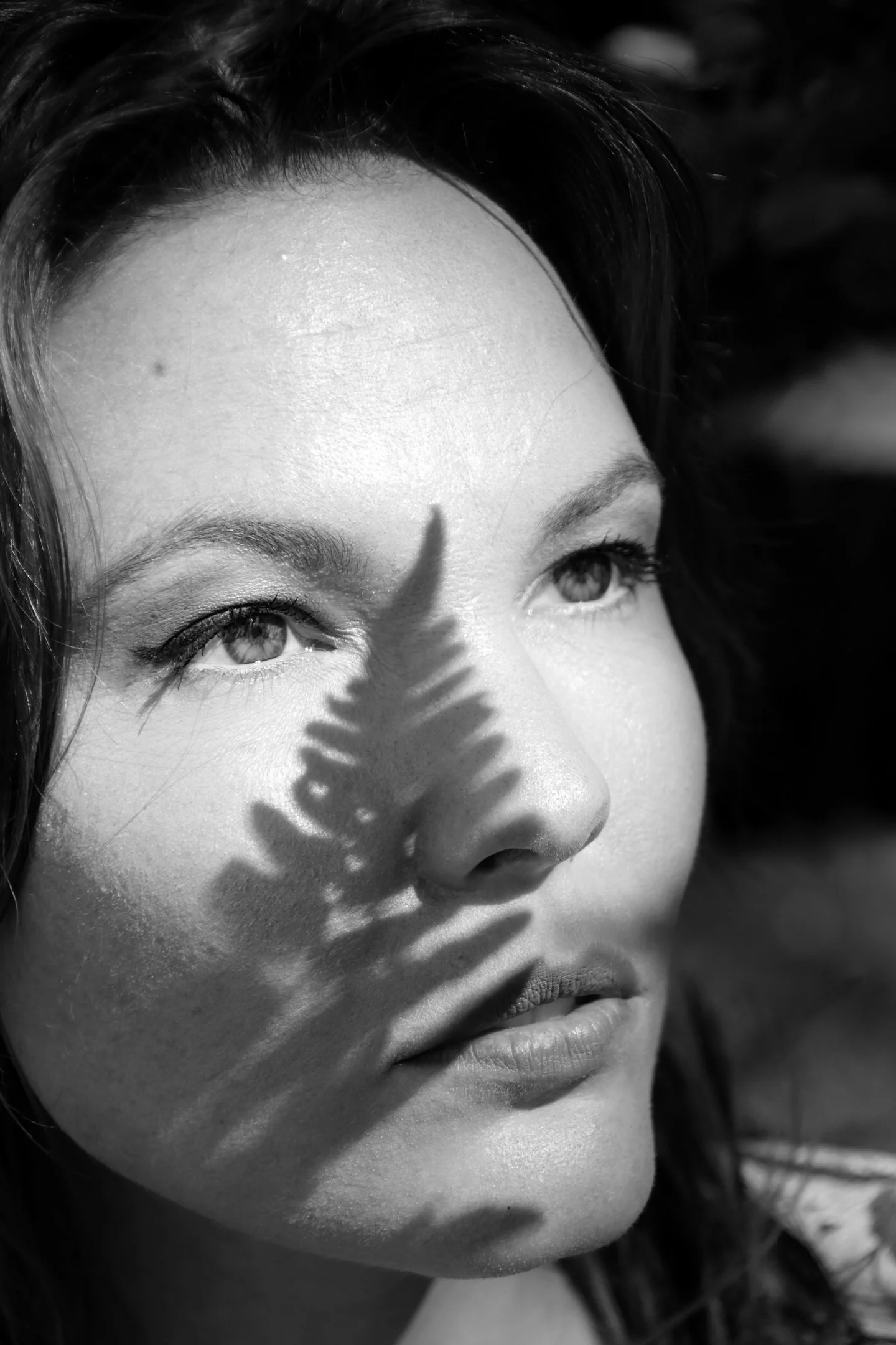 M | Fern Shadow | Michelle Premer | Score: 22