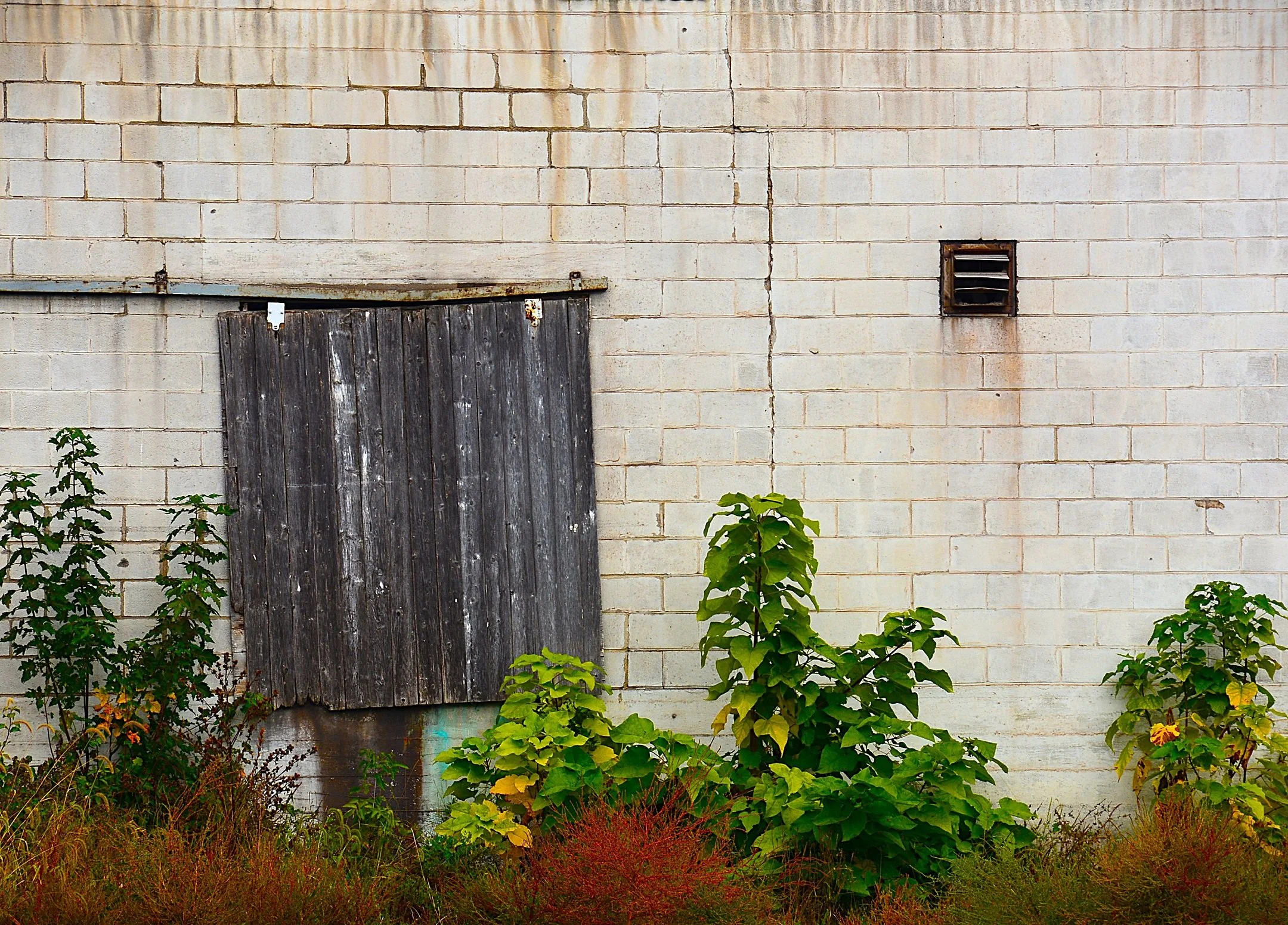 O | Faded Door | Bill Ingraham | Score: 17