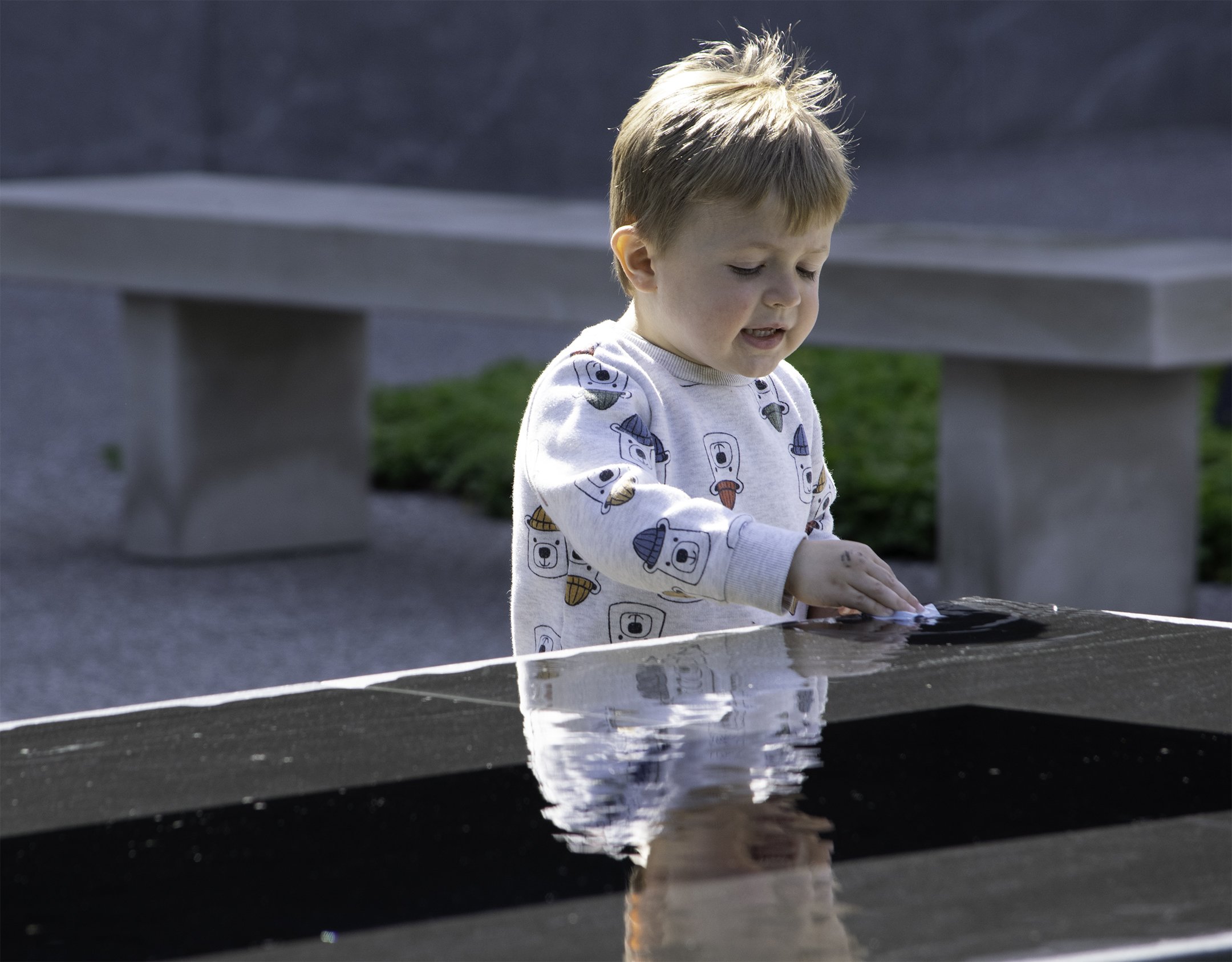 P | Innocent Reflection | Sandy Freed | Score: 11