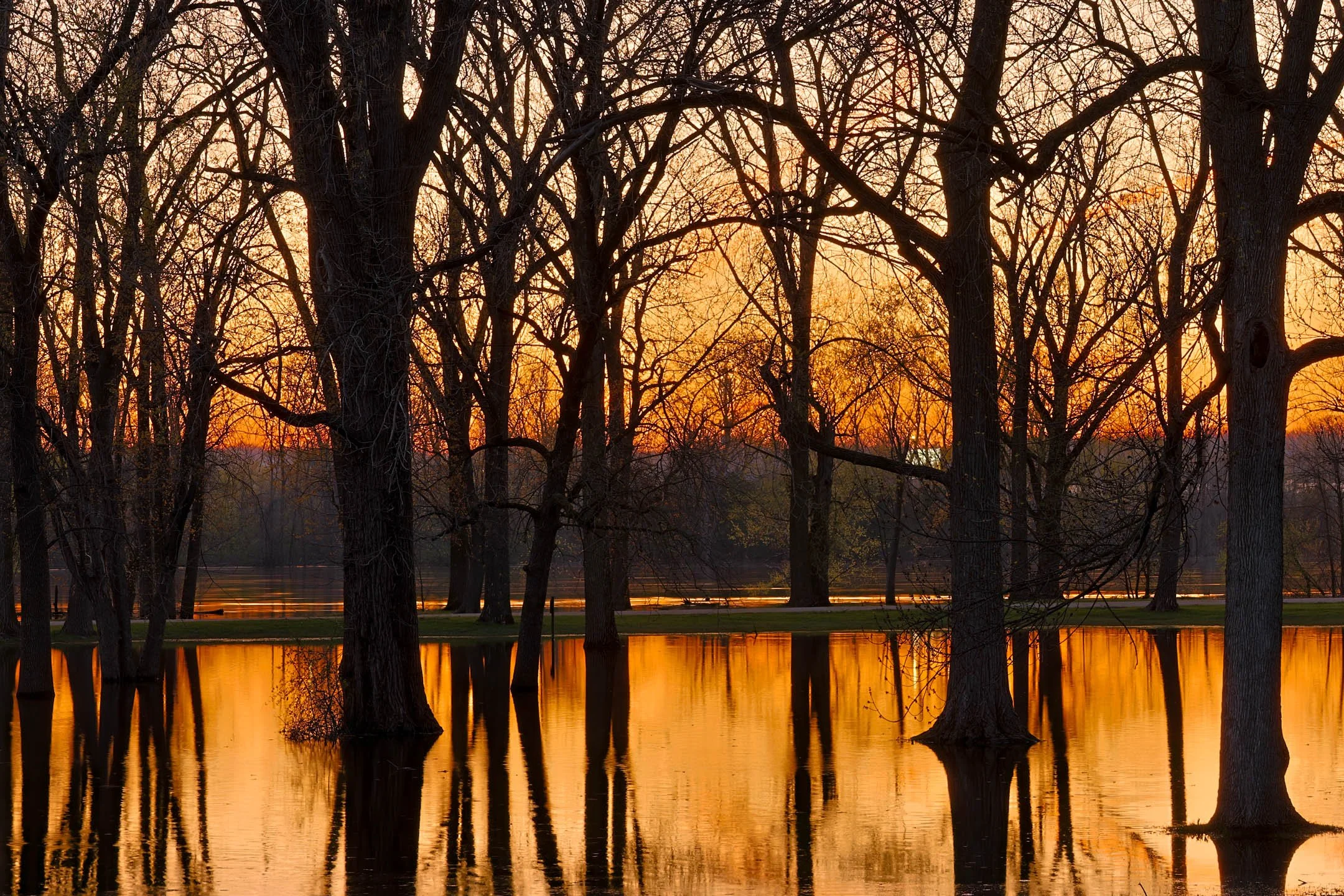 S | Flooded Riverside Park | Sandy Freed | Score: 19