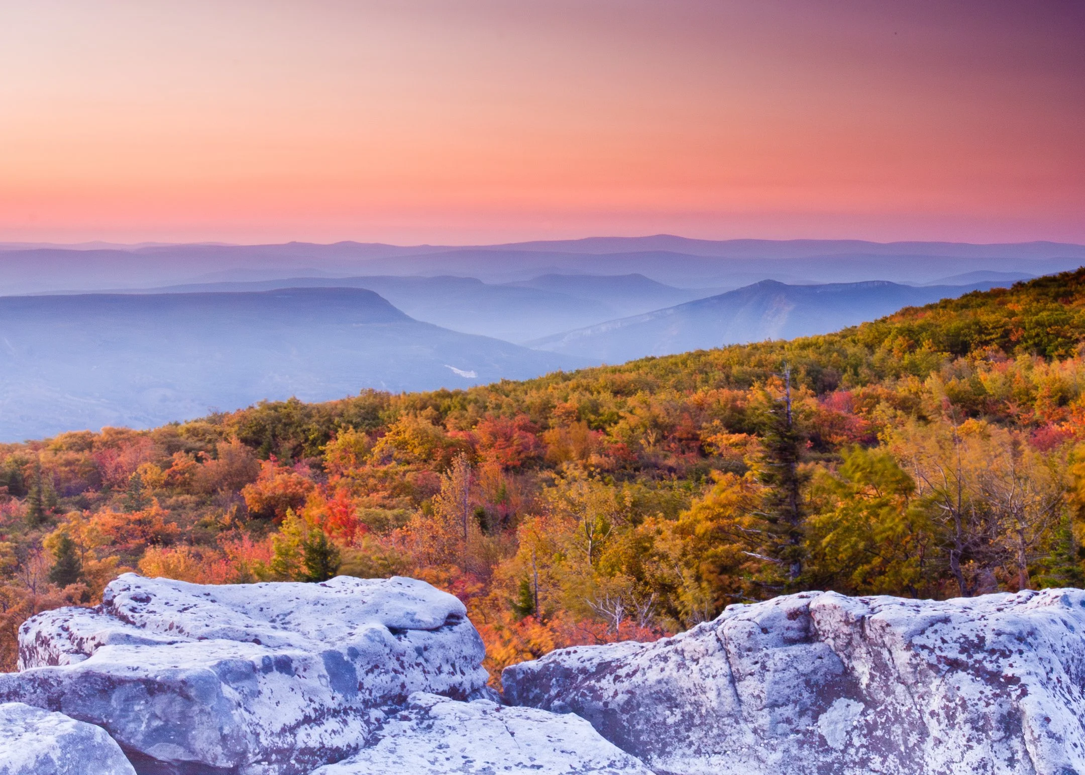 S | Mountain Sunrise | Ruth Thornton | Score: 19
