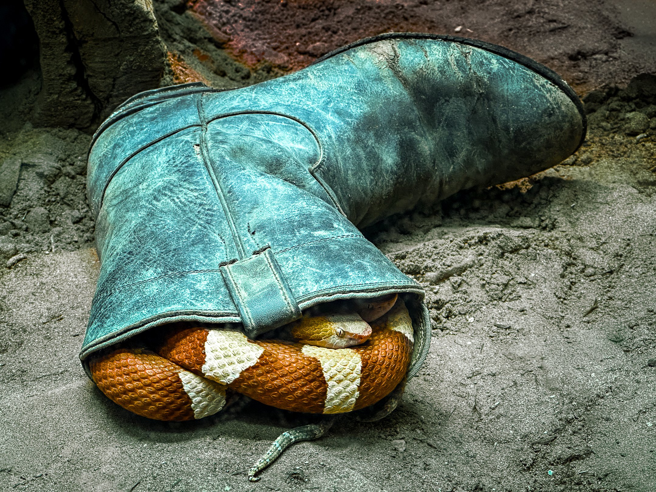 O | Surprise | Steve Port | Score: 14