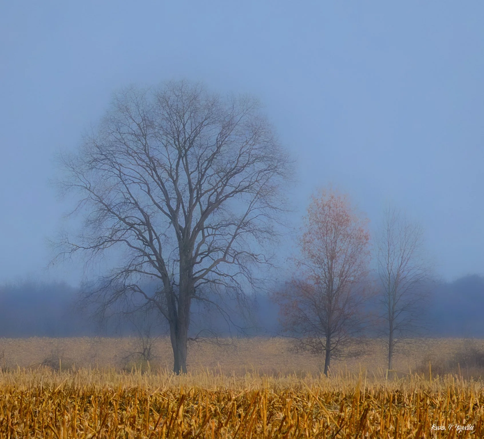 A | Last Days of Autumn | Kevin Tyrrell | Score: 17