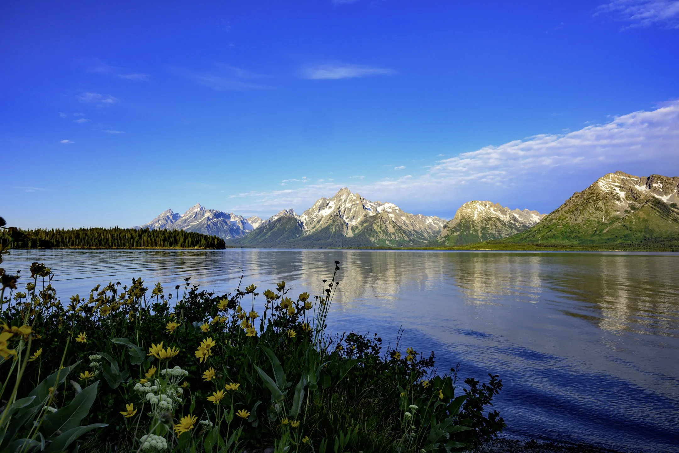 S | Sunrise At Oxbow Bend | Mary Tyrrell | Score: 20