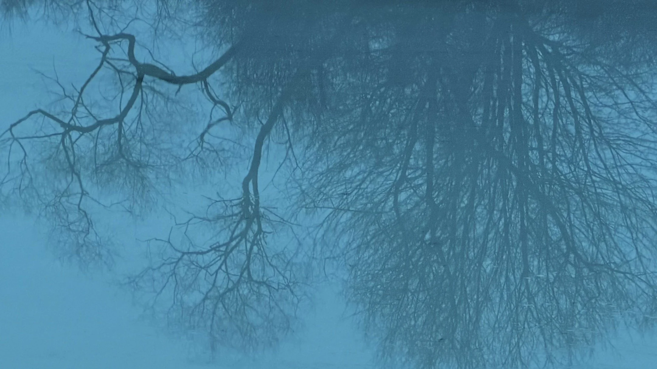 N | Quiet Reflection | Todd Harbin | Score: 9