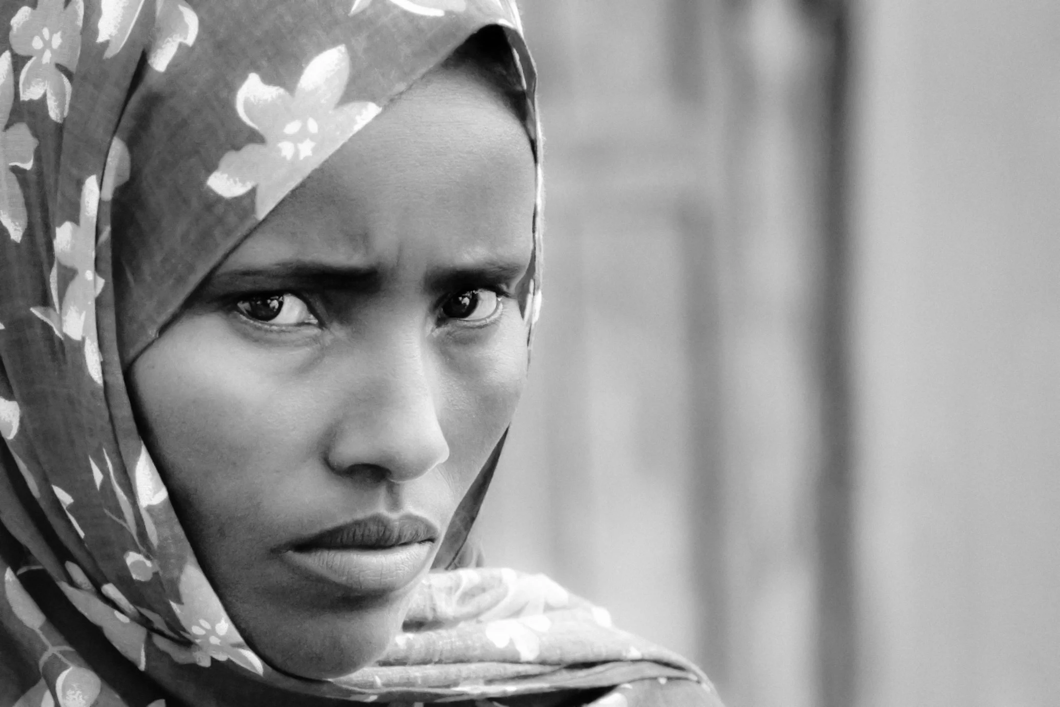 P | Eyes That Speak | Joe Mancy | Score: 19