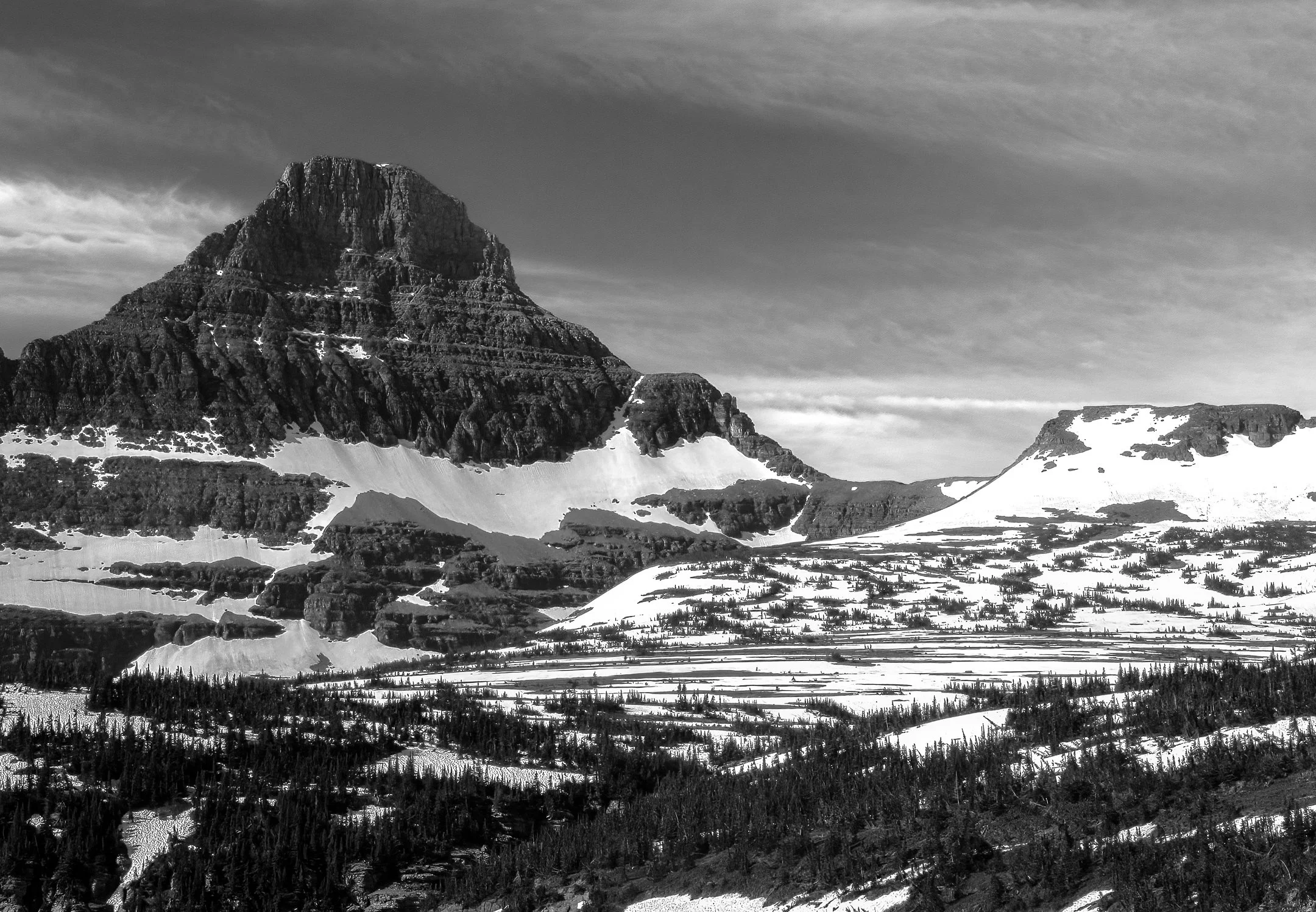 M | Spring Snow On the Mountain | Jeanne Quillan | Score: 18