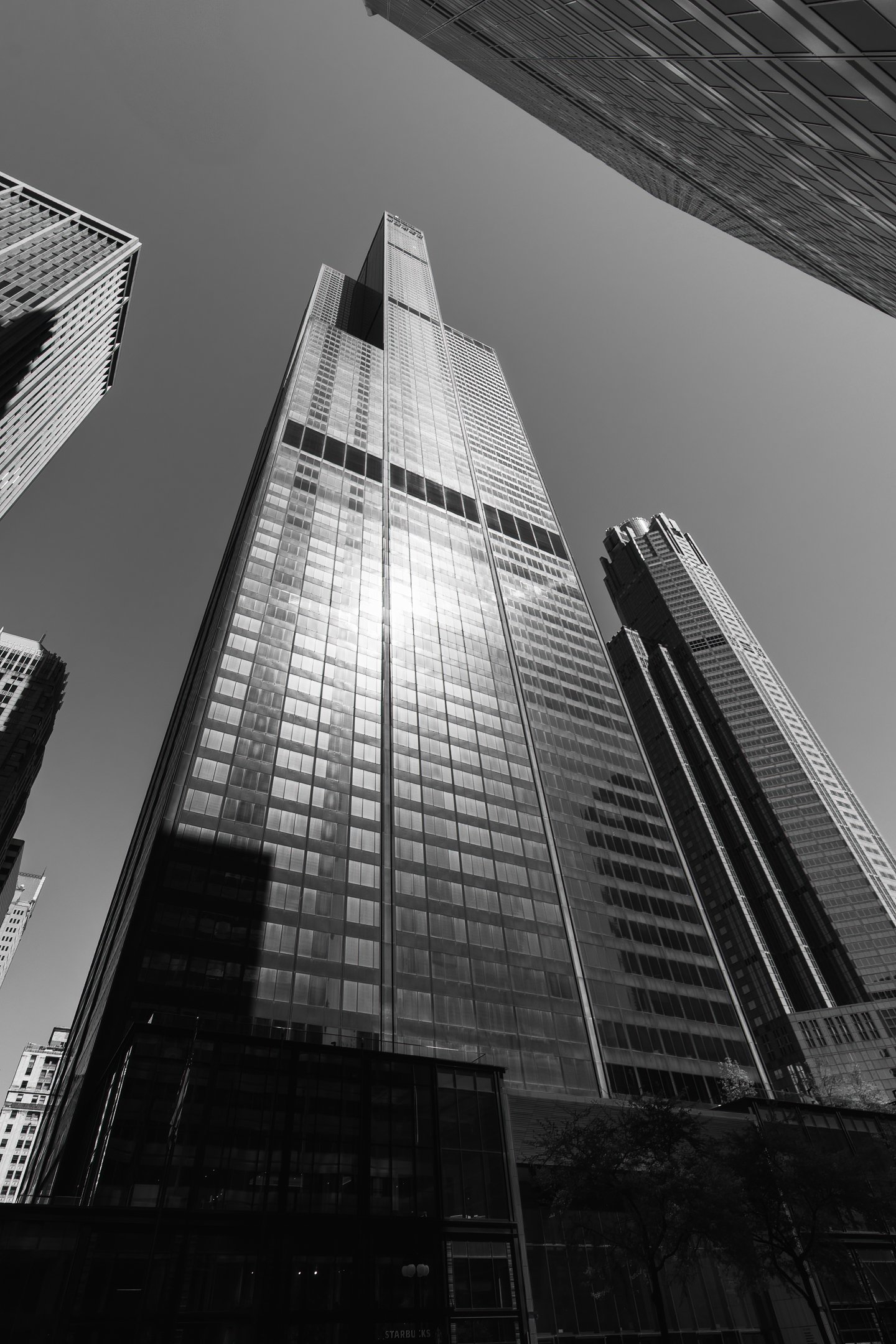 M | Towering | Norbert Kugele | Score: 11