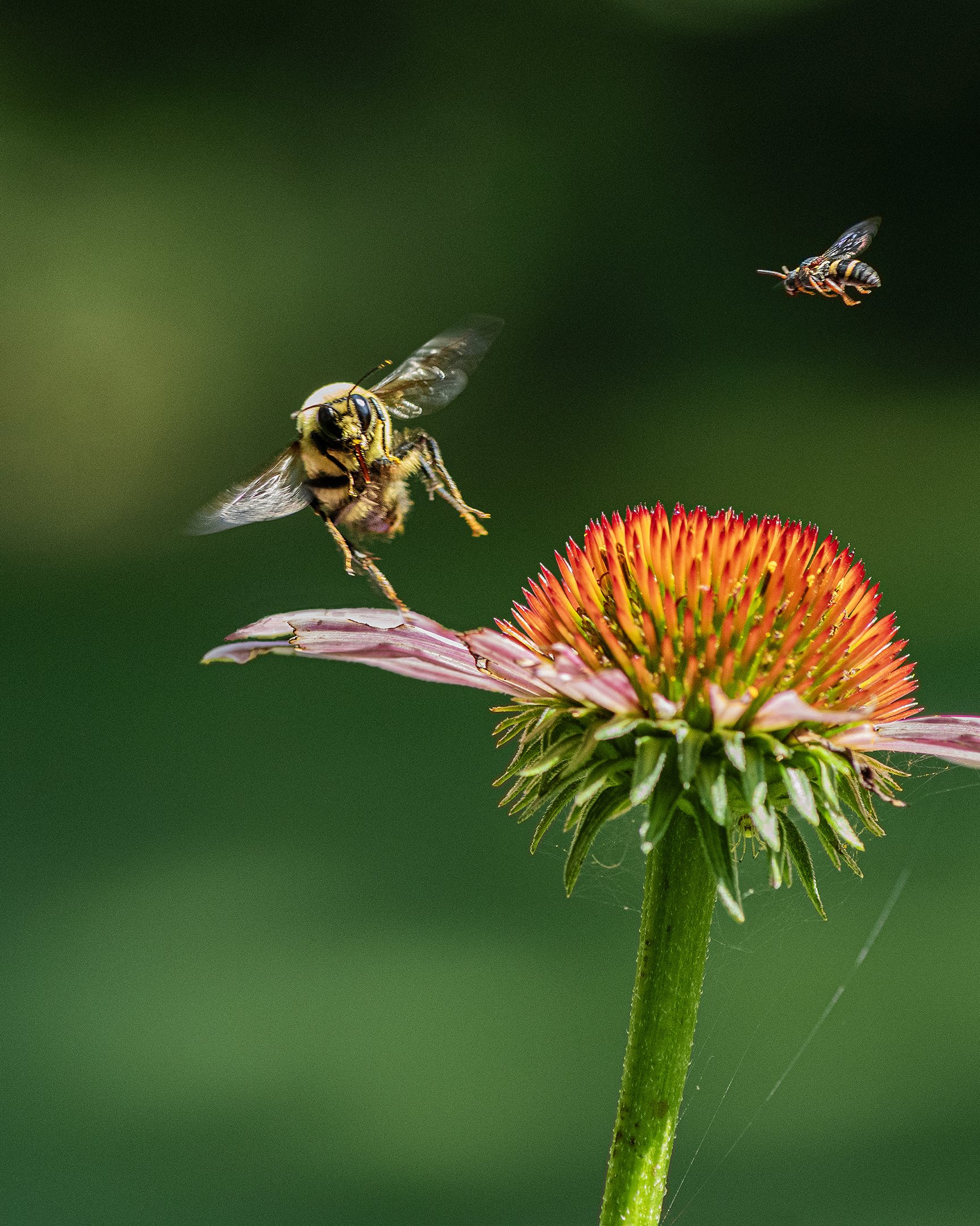 A | Bogy At Two O’clock | Jack Eichner | Score: 14