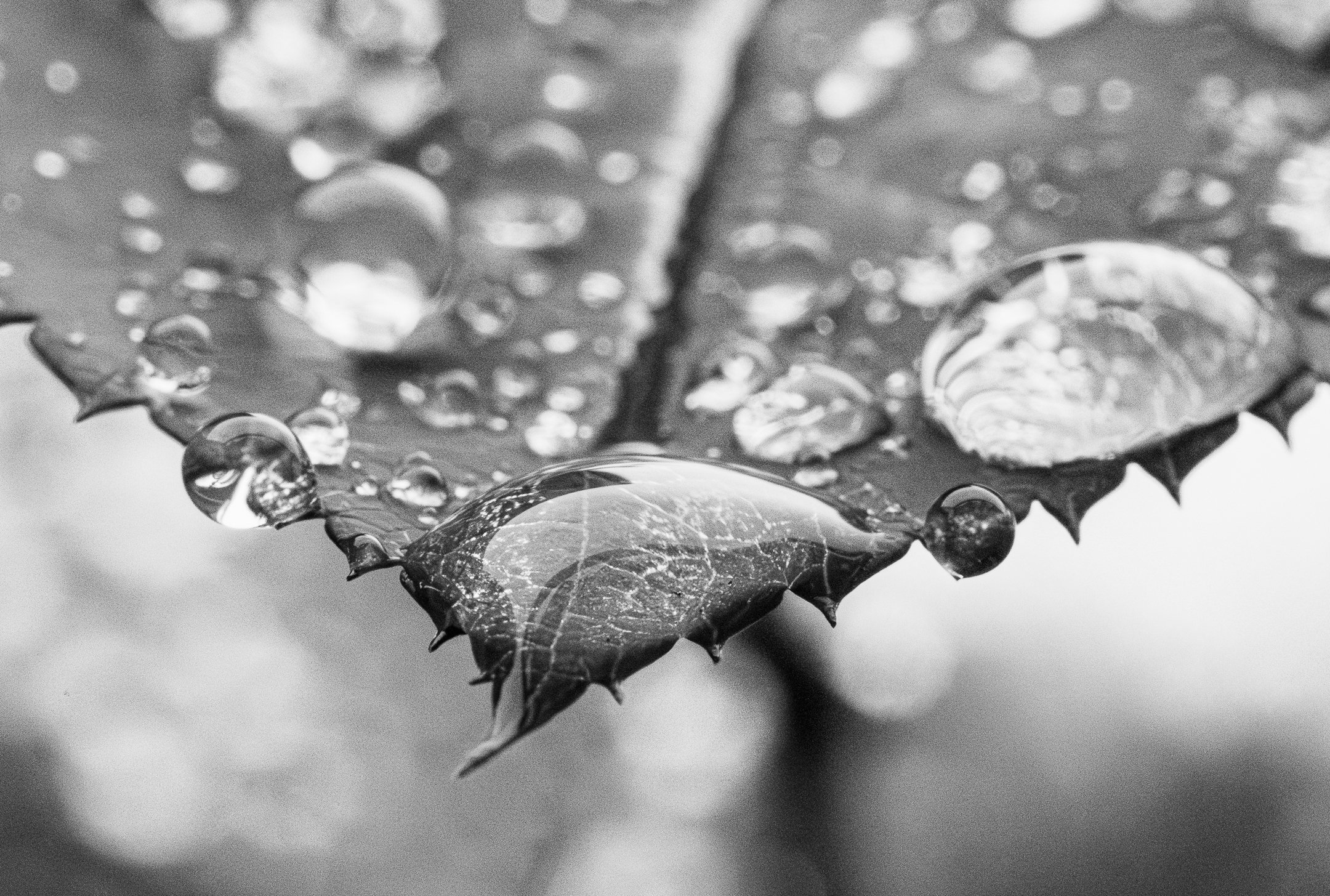 M | Magnified | Norbert Kugele | Score: 23