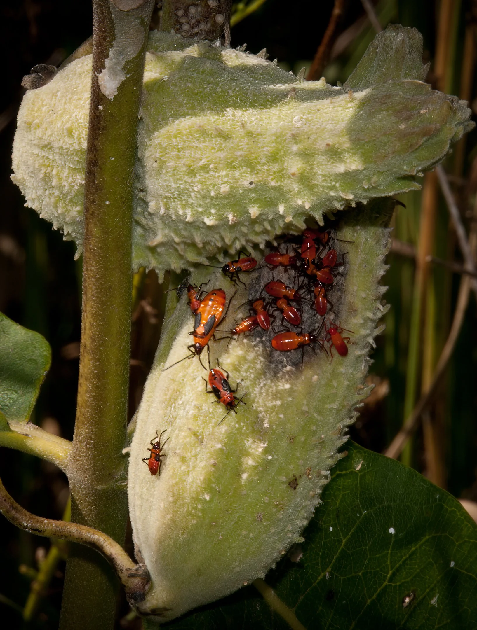 A | Family Fun | Jim Shearer, Jr. | Score: 17