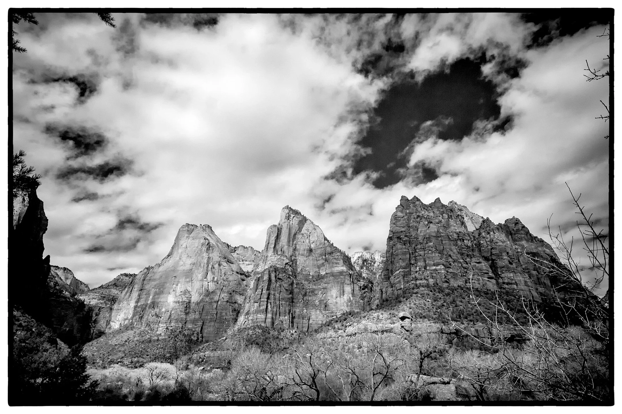 M | Court Of the Patriarchs | Roger Fry | Score: 17