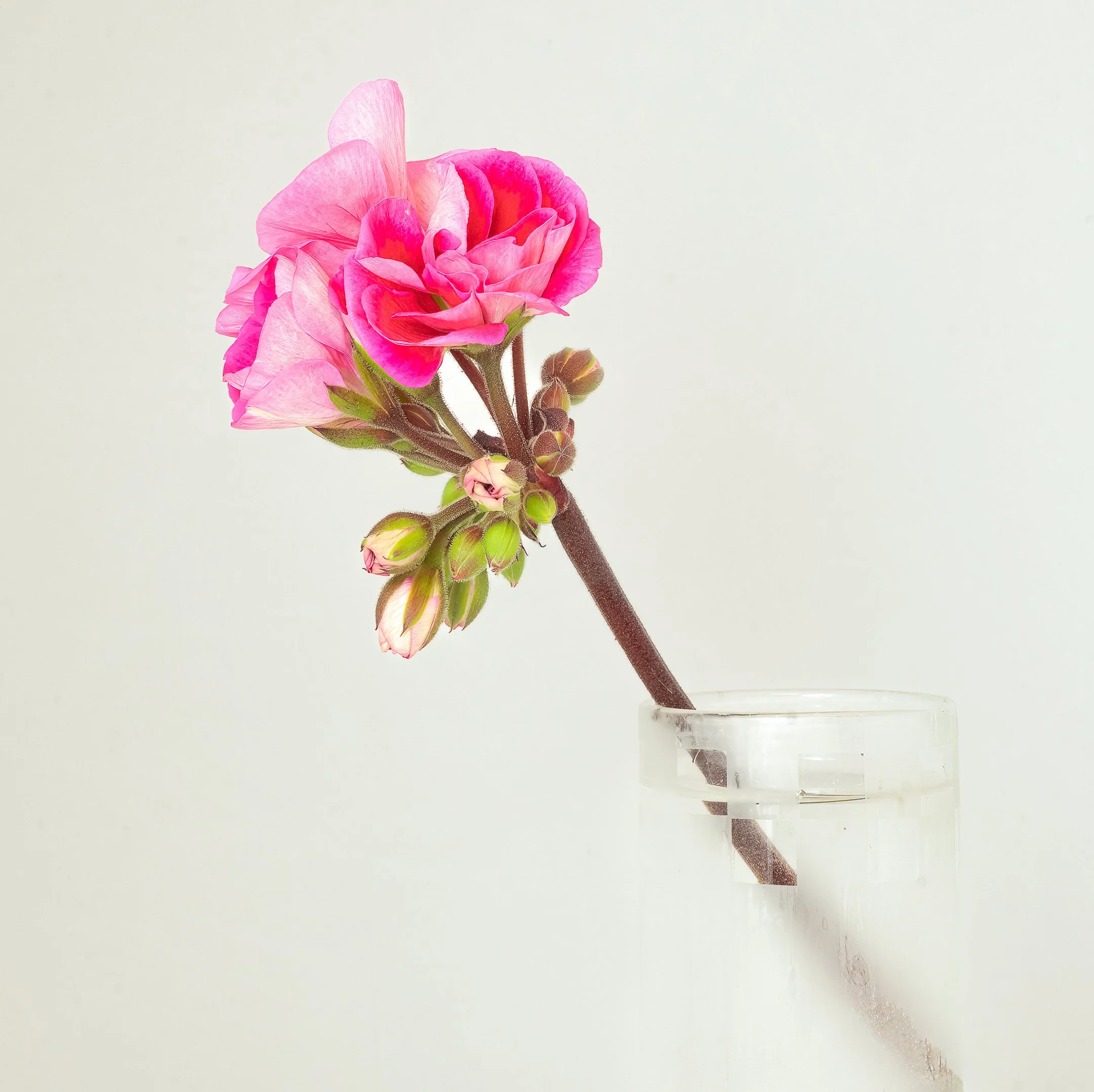 A | Last of the Season | Jeanne Quillan | Score: 20