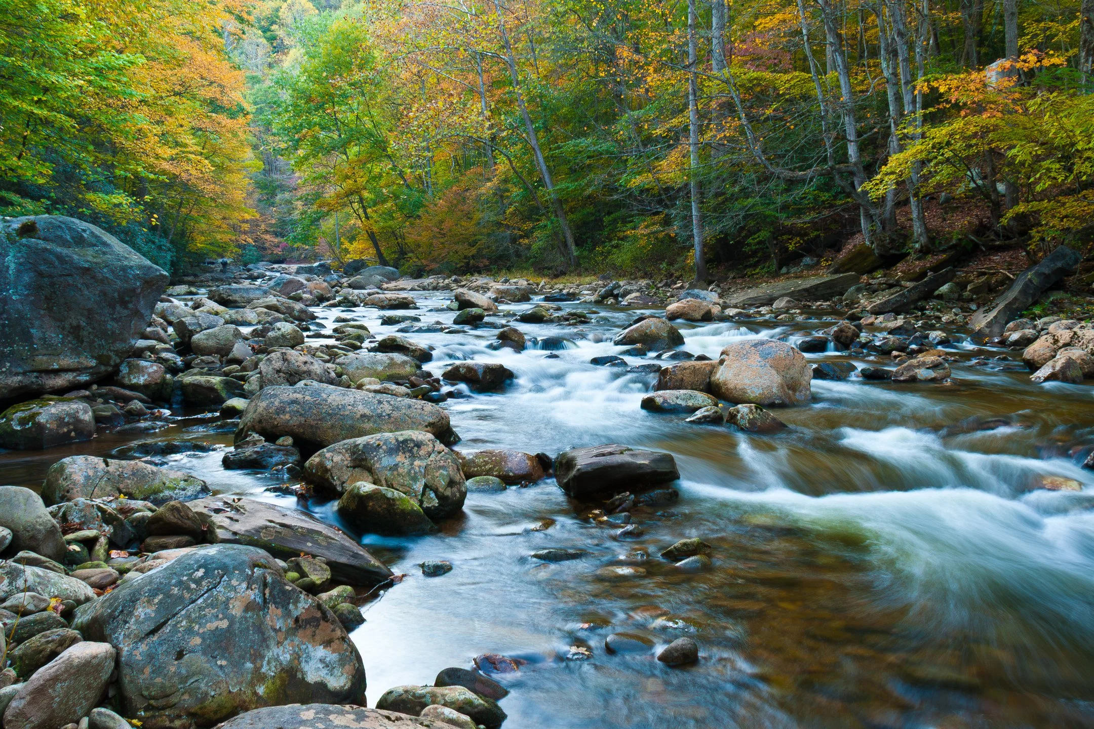 N | Colorful Stream | Ruth Thornton | Score: 21