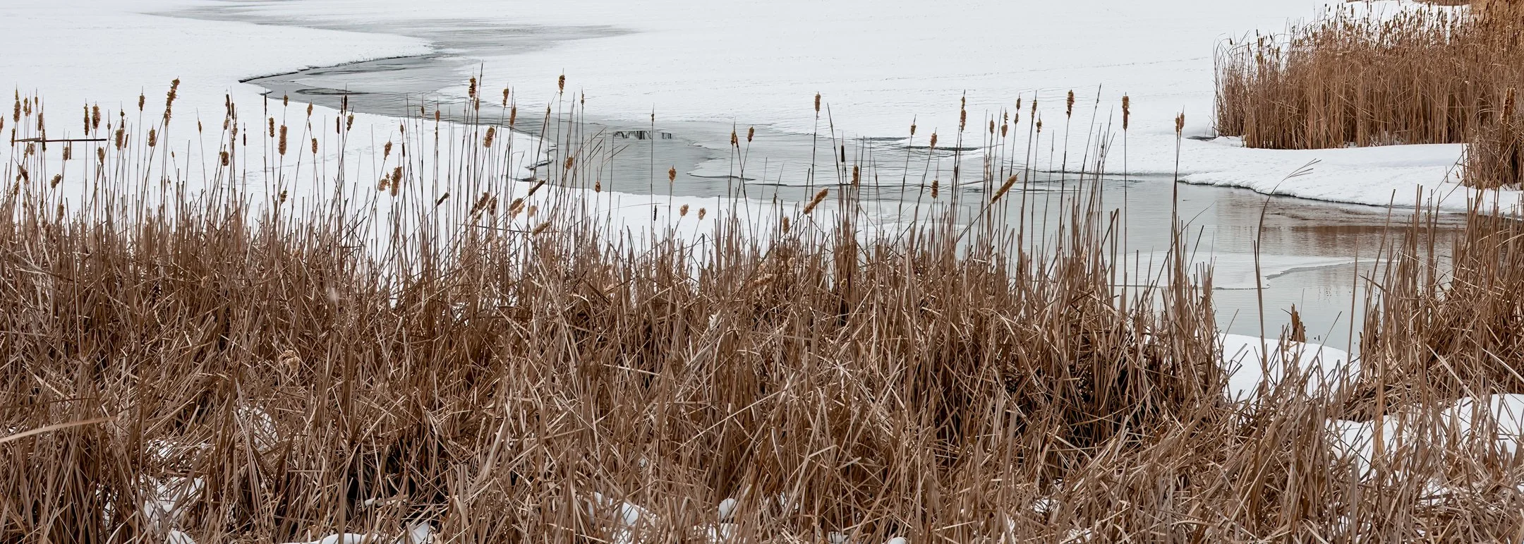 N | Spring Melt | Jim Shearer, Jr. | Score: 17