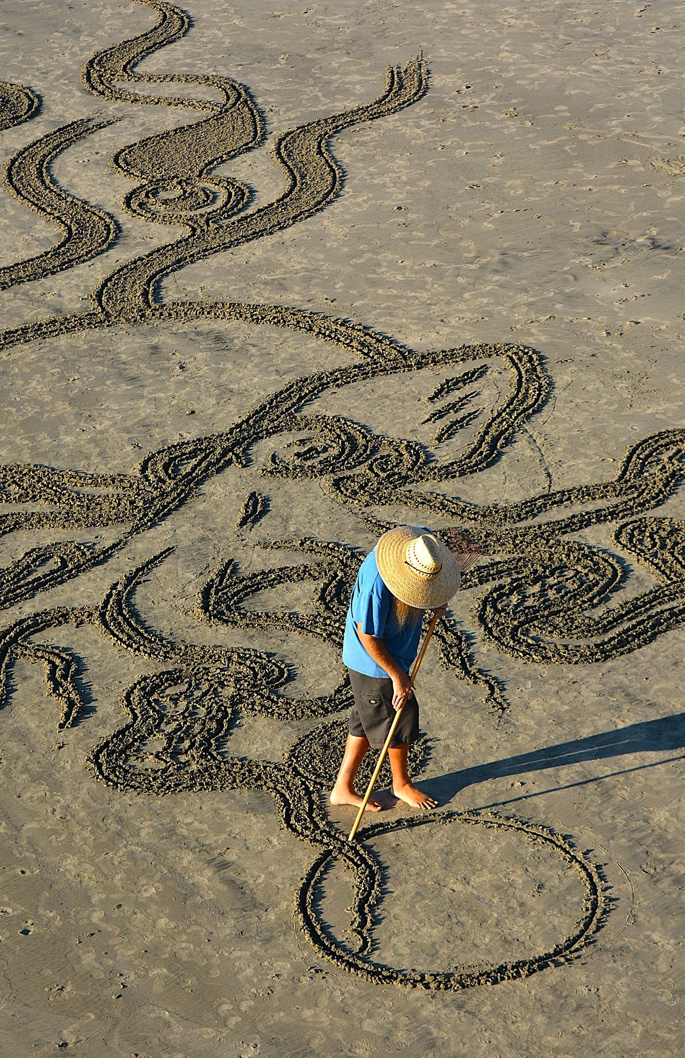 J | Octopuses Gardener | Bill Ingraham | Score: 24