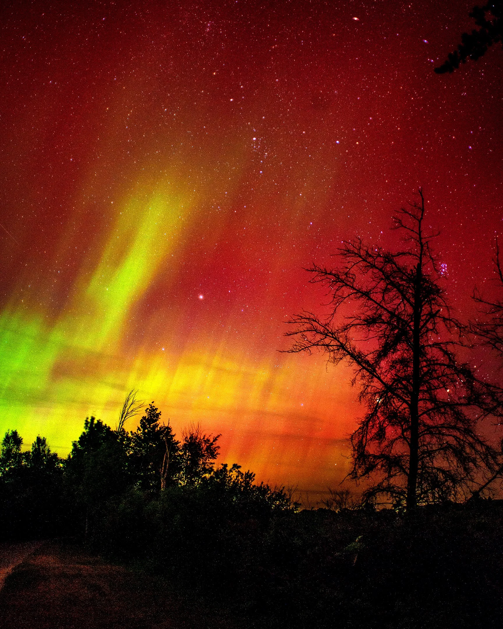 O | Aurora | Mike Mitchell | Score: 23