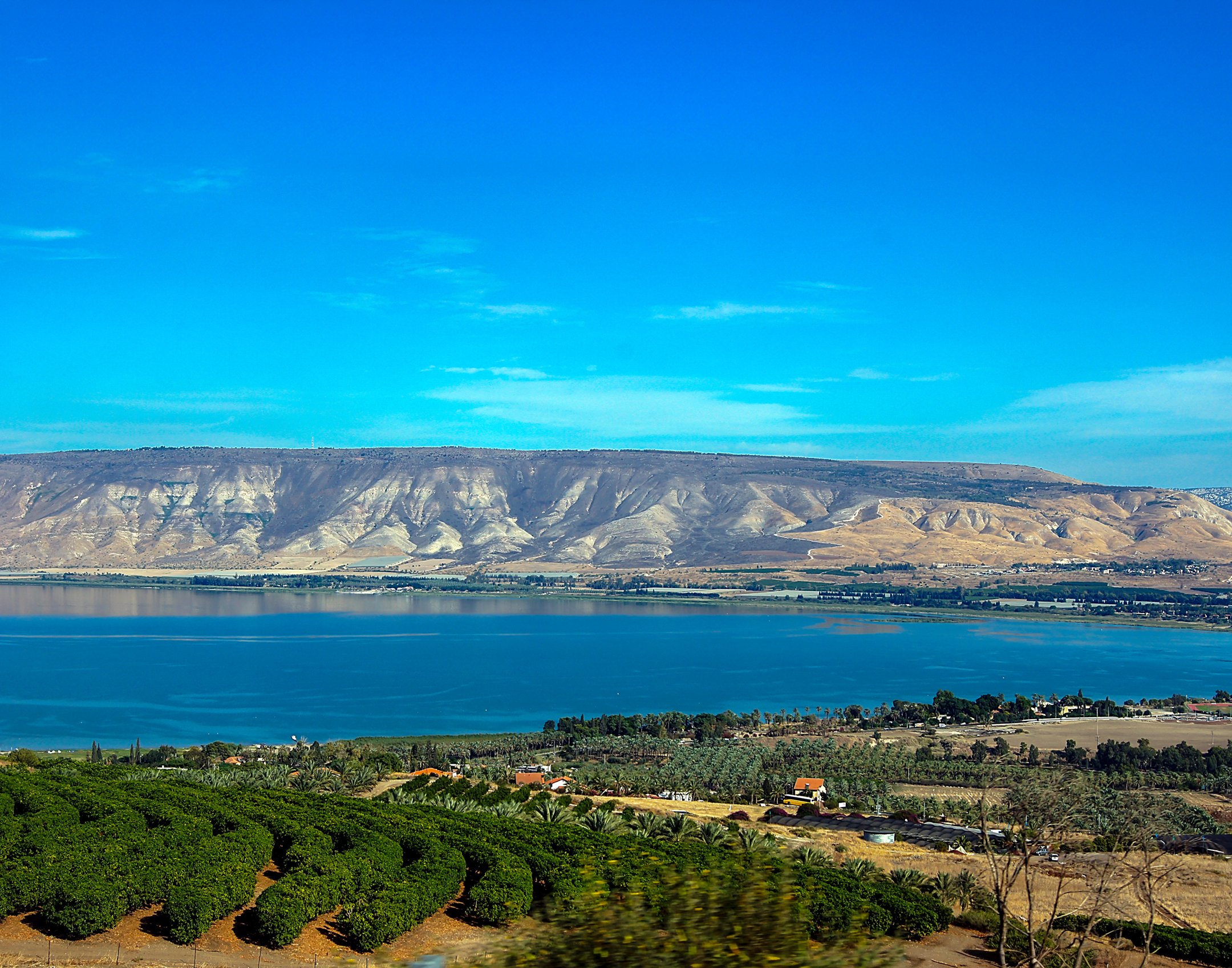 S | Dead Sea Vista | Della Landheer | Score: 19