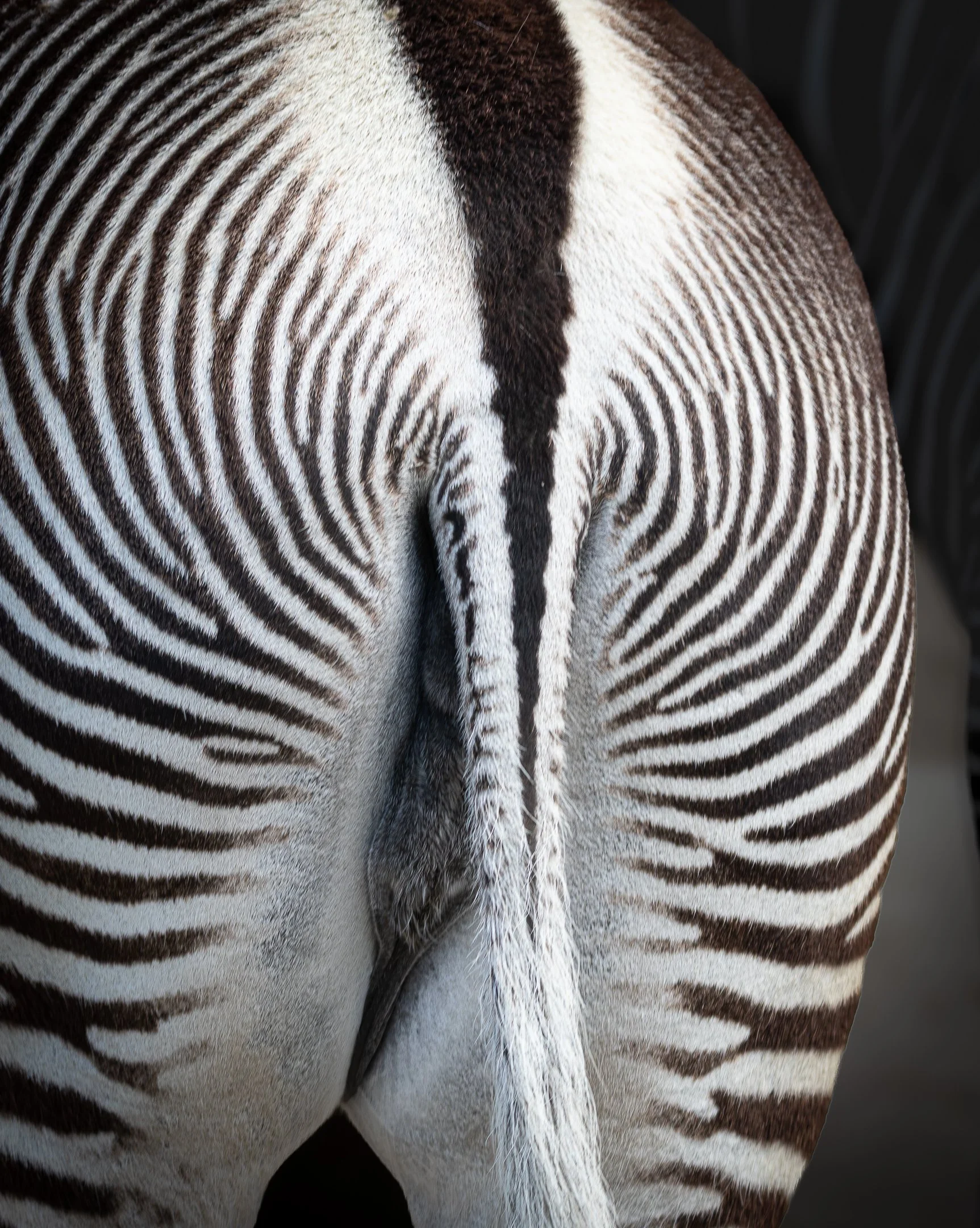 A | Rump | Kathy Kendall | Score: 20