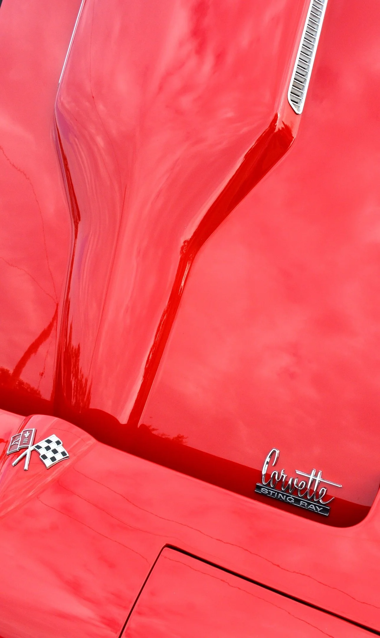O | Red Stingray | Bill Ingraham | Score: 20