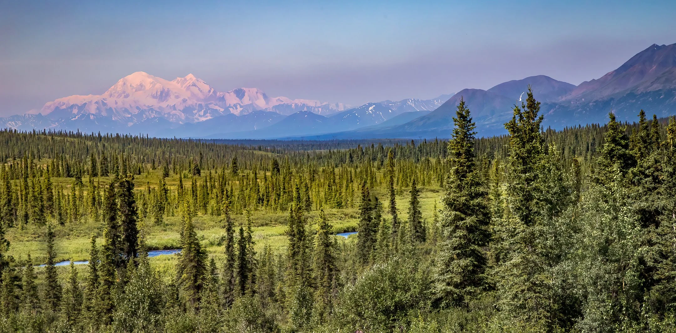 S | Purple Mountain Majesty | Jan Lewis | Score: 23