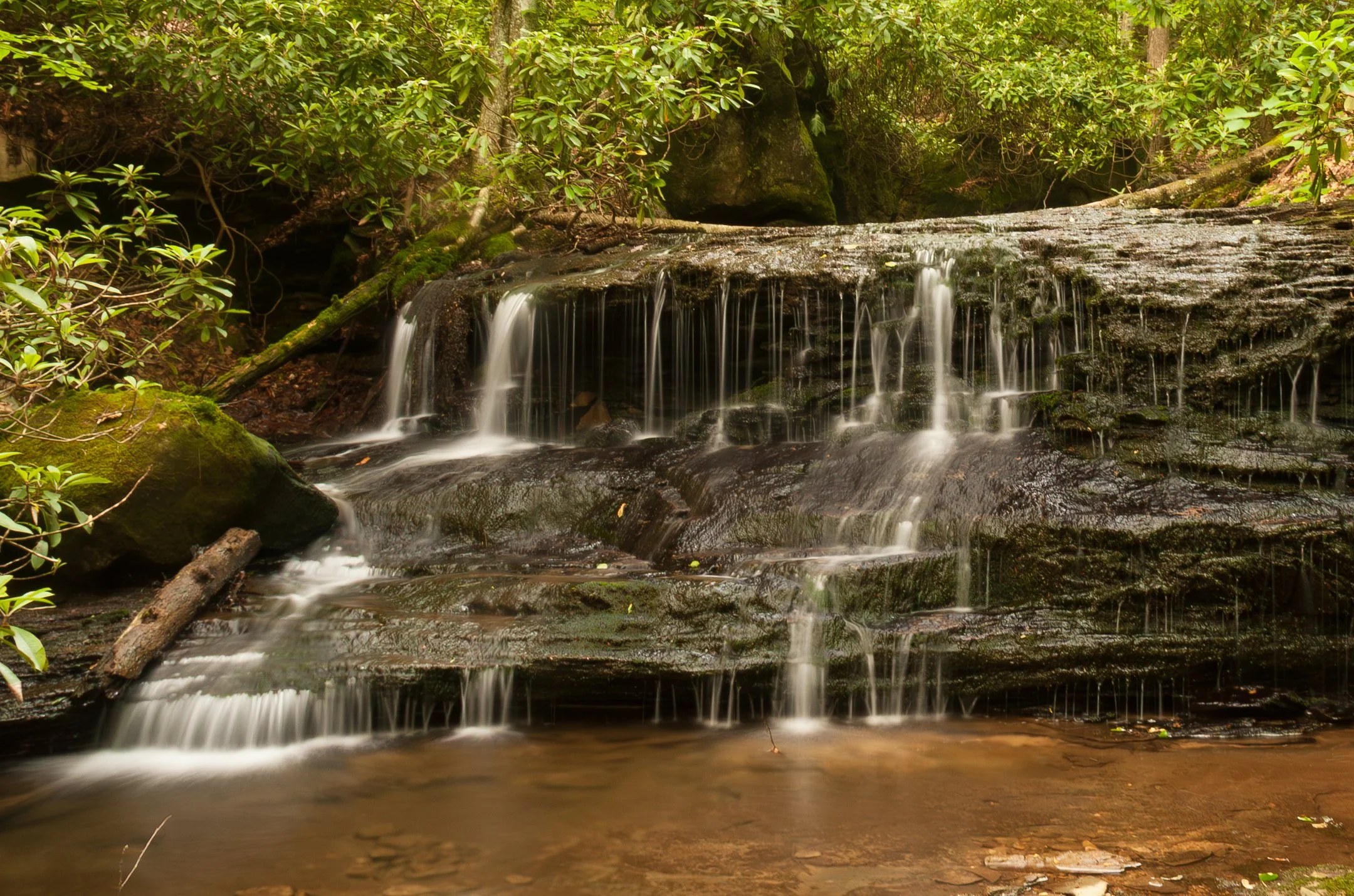 N | Waterfall 3 | Ruth Thornton | Score: 18