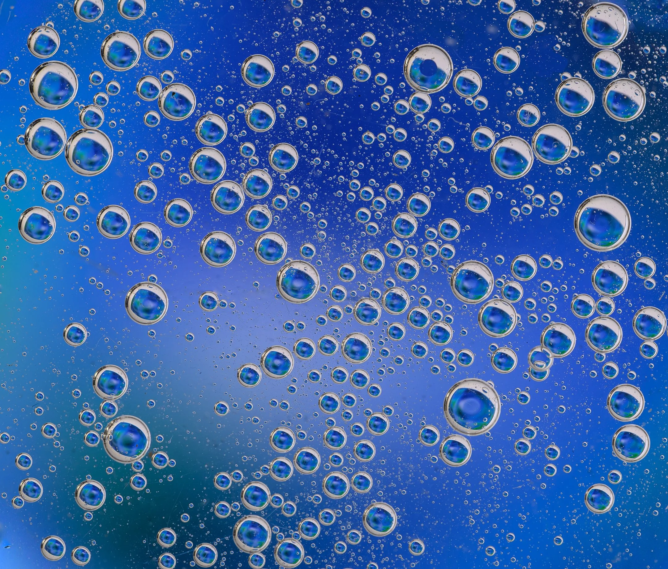 C | Bubbles Aplenty | Kevin Tyrrell | Score: 21