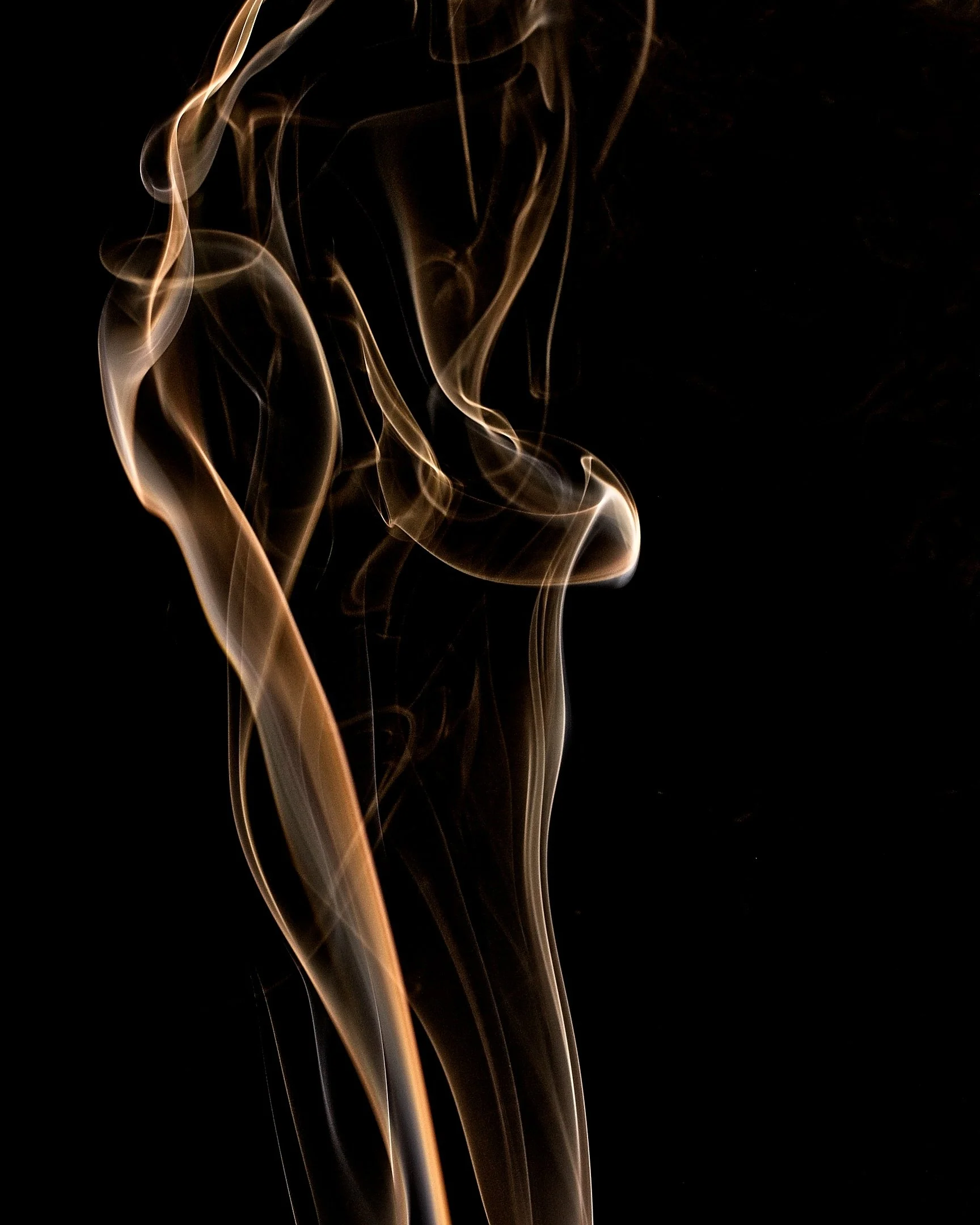 C | Shrouded In Mystery | Michael Koole | Score: 19
