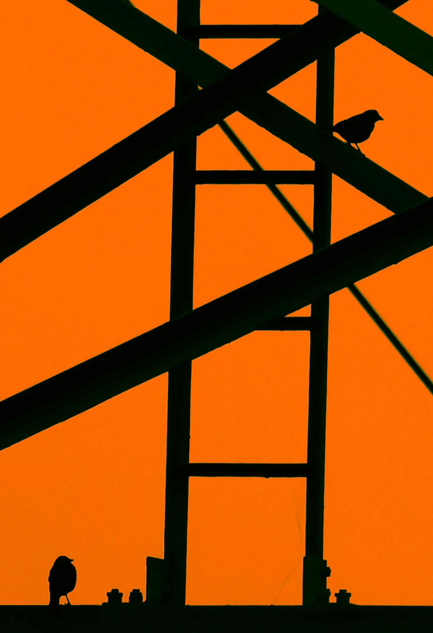 A | S is for Silhouette Silly | Sandy Freed | Score: 13