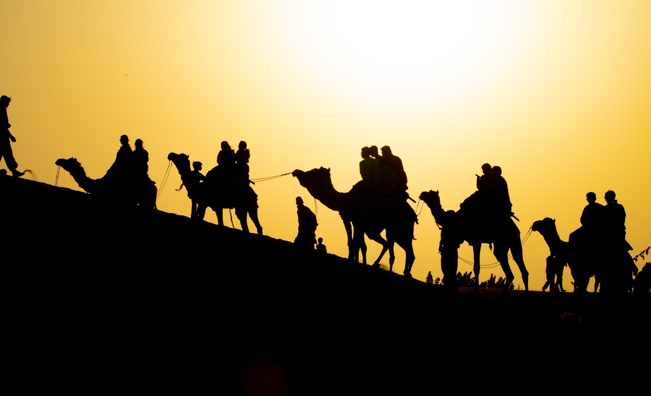 O | Camels | Maddur Badarinath | Score: 22