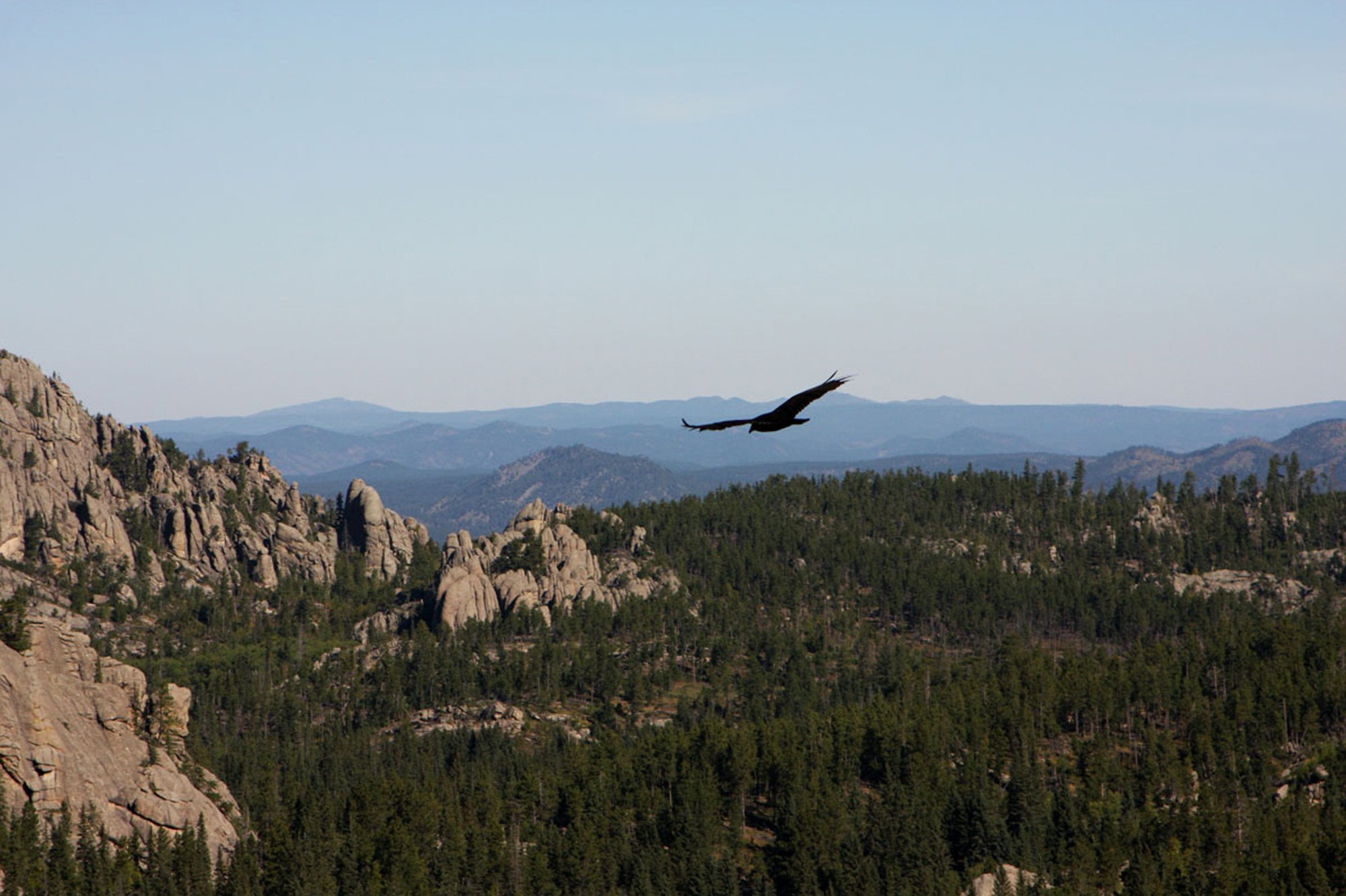 S | Black Hills | Michelle Premer | Score: 18