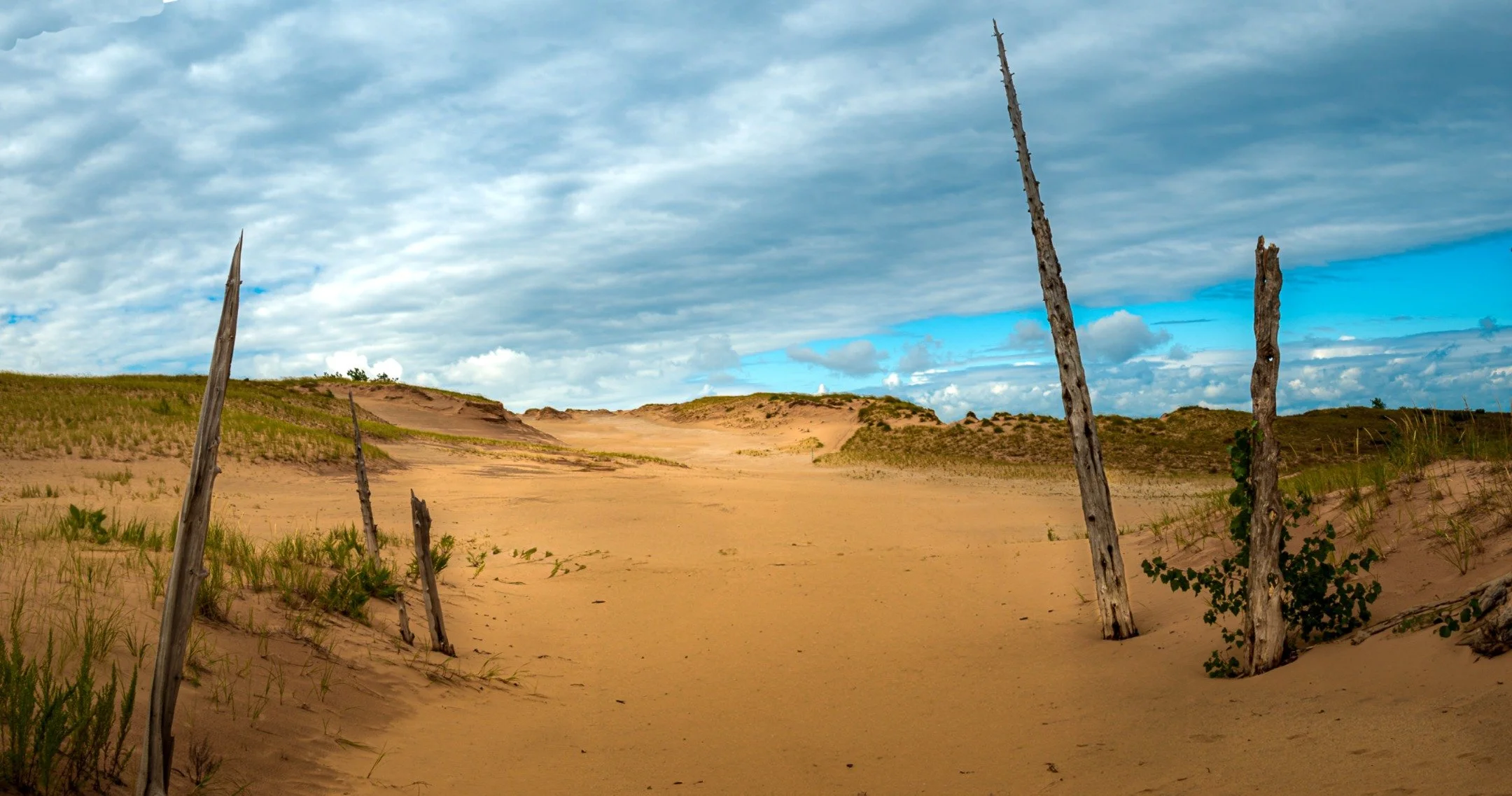 S | Dune Walk | Gary Kirfman | Score: 12