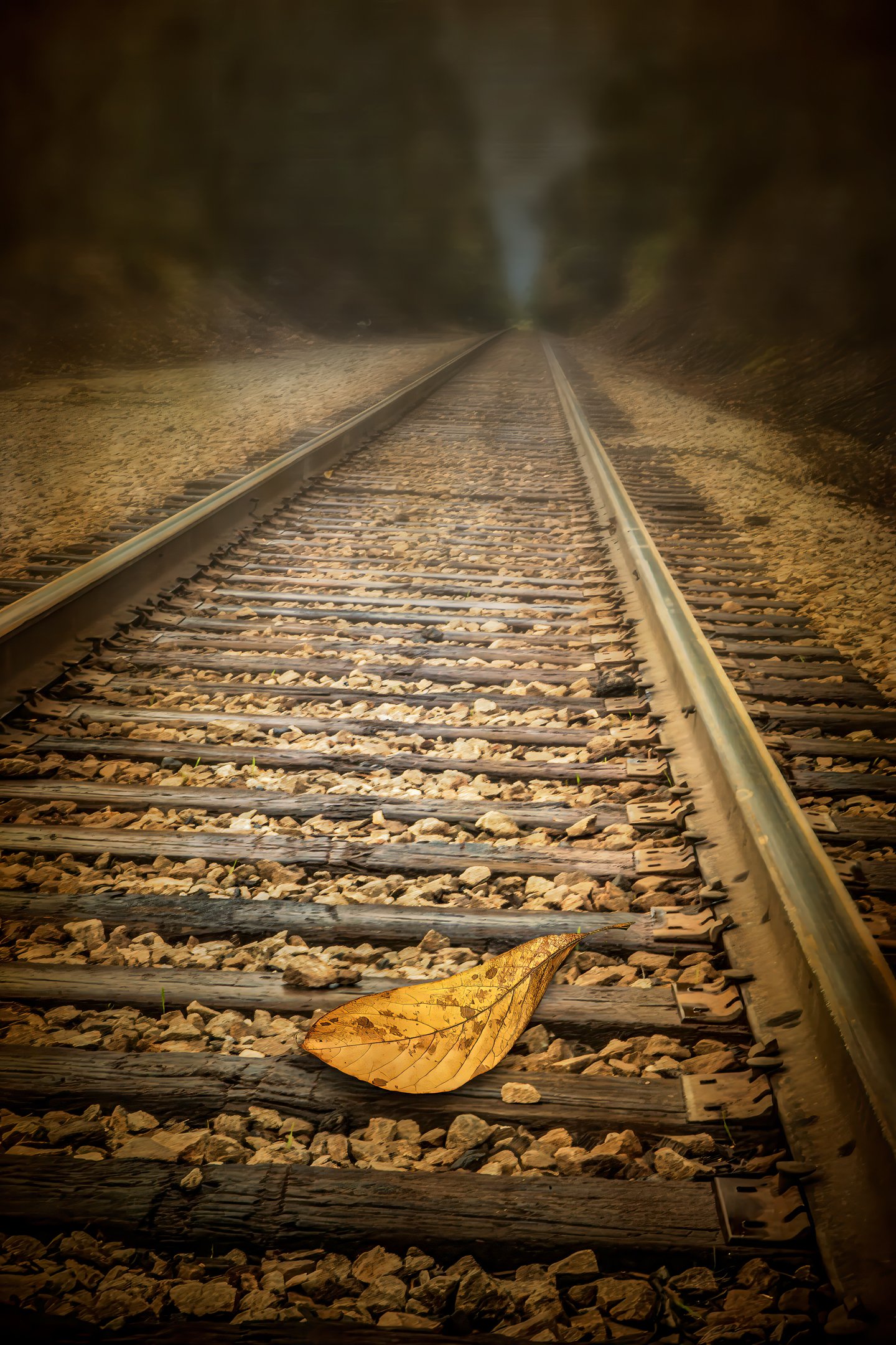 A | Leaf On a Railroad Track | Randy Nyhof | Score: 21