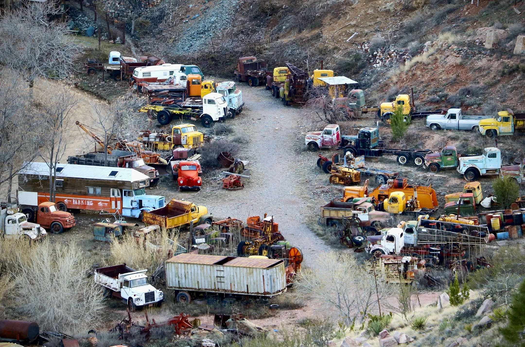 J | Colorful Path Of Destruction | Lori Ryskamp | Score: 20