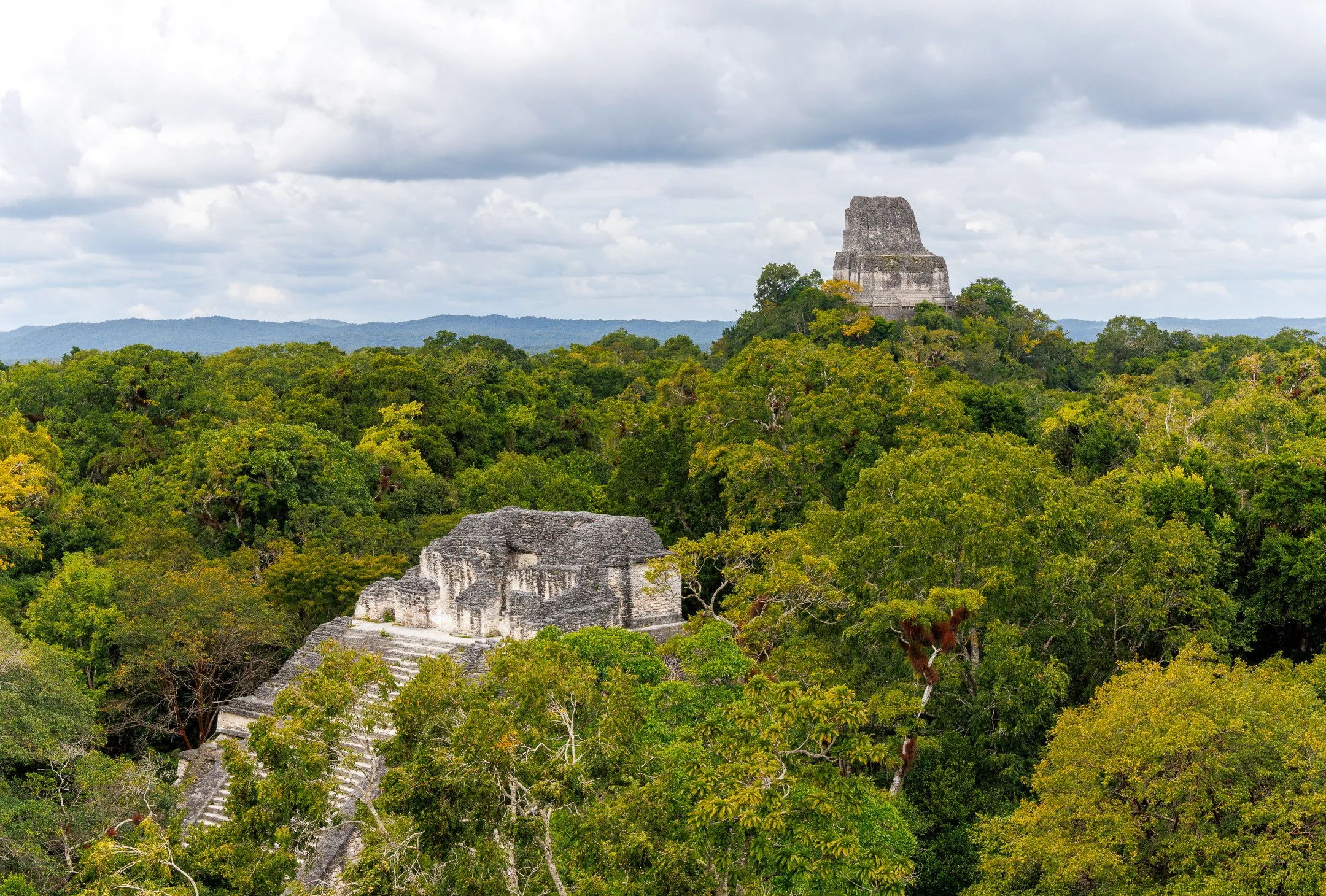 O | Maya Ruins In Tikal | Jim Knapp | Score: 17