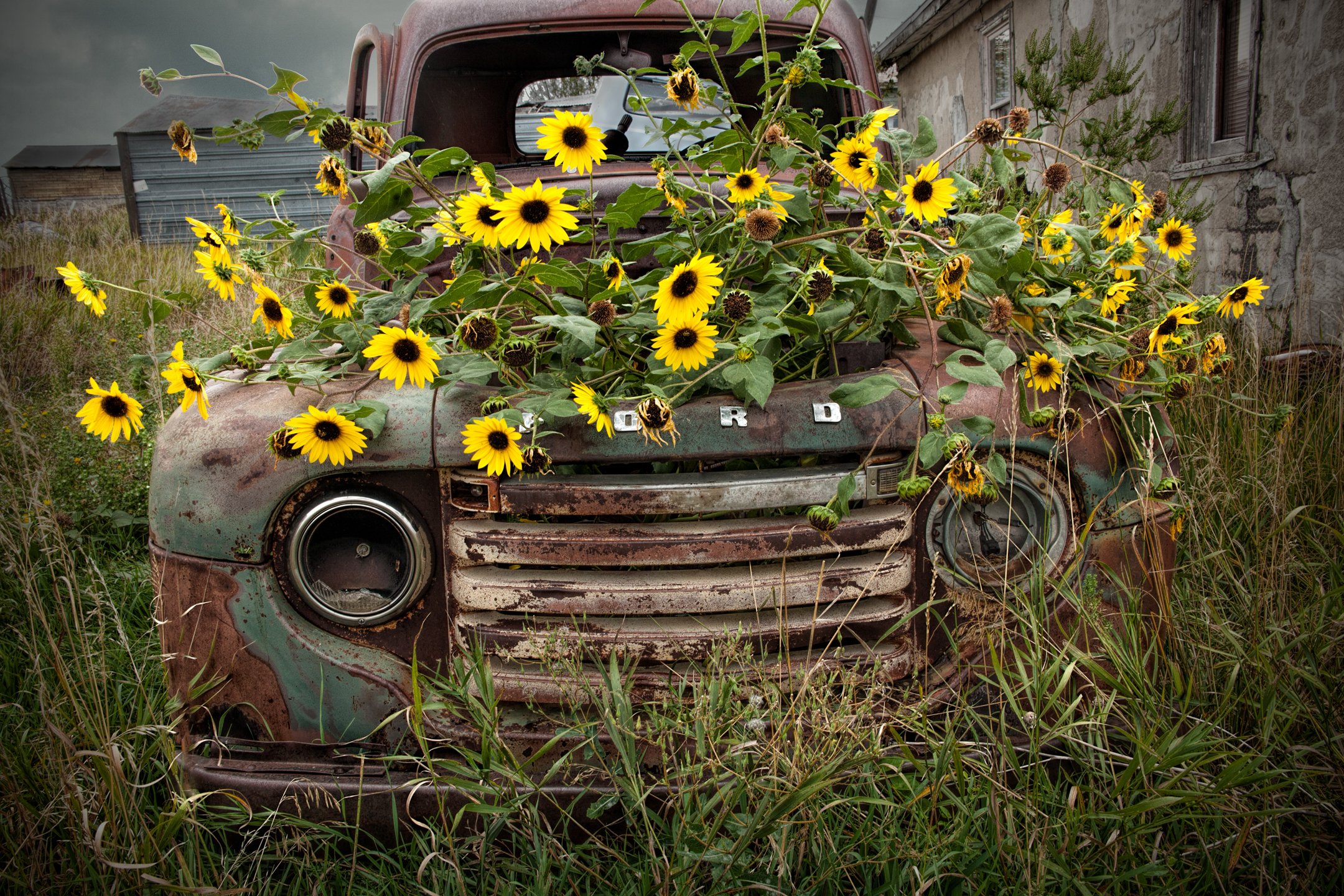 A | Ford Truck Flower Pot | Randy Nyhof | Score: 19