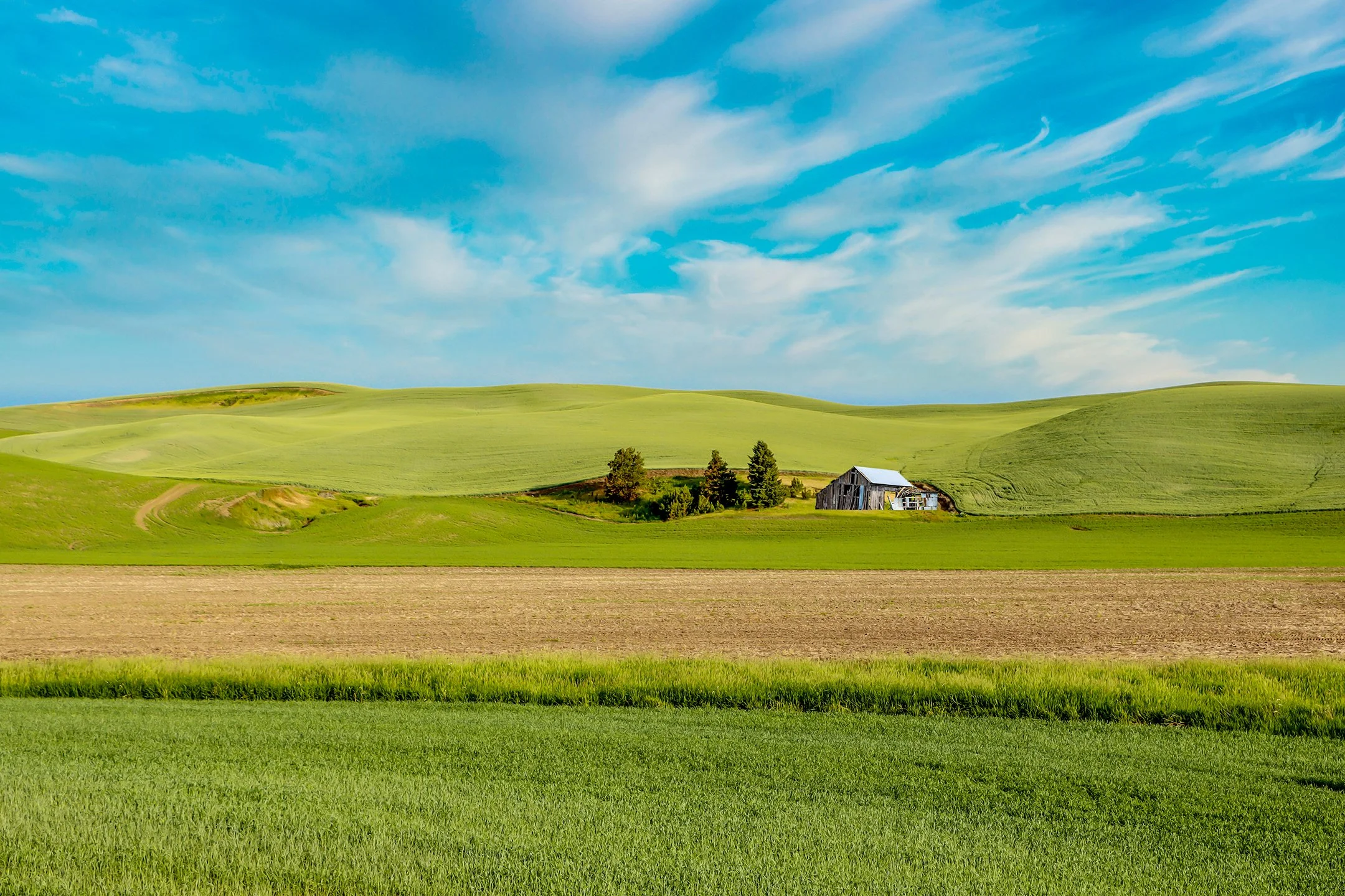 A | Farm Country | Della Landheer | Score: 16