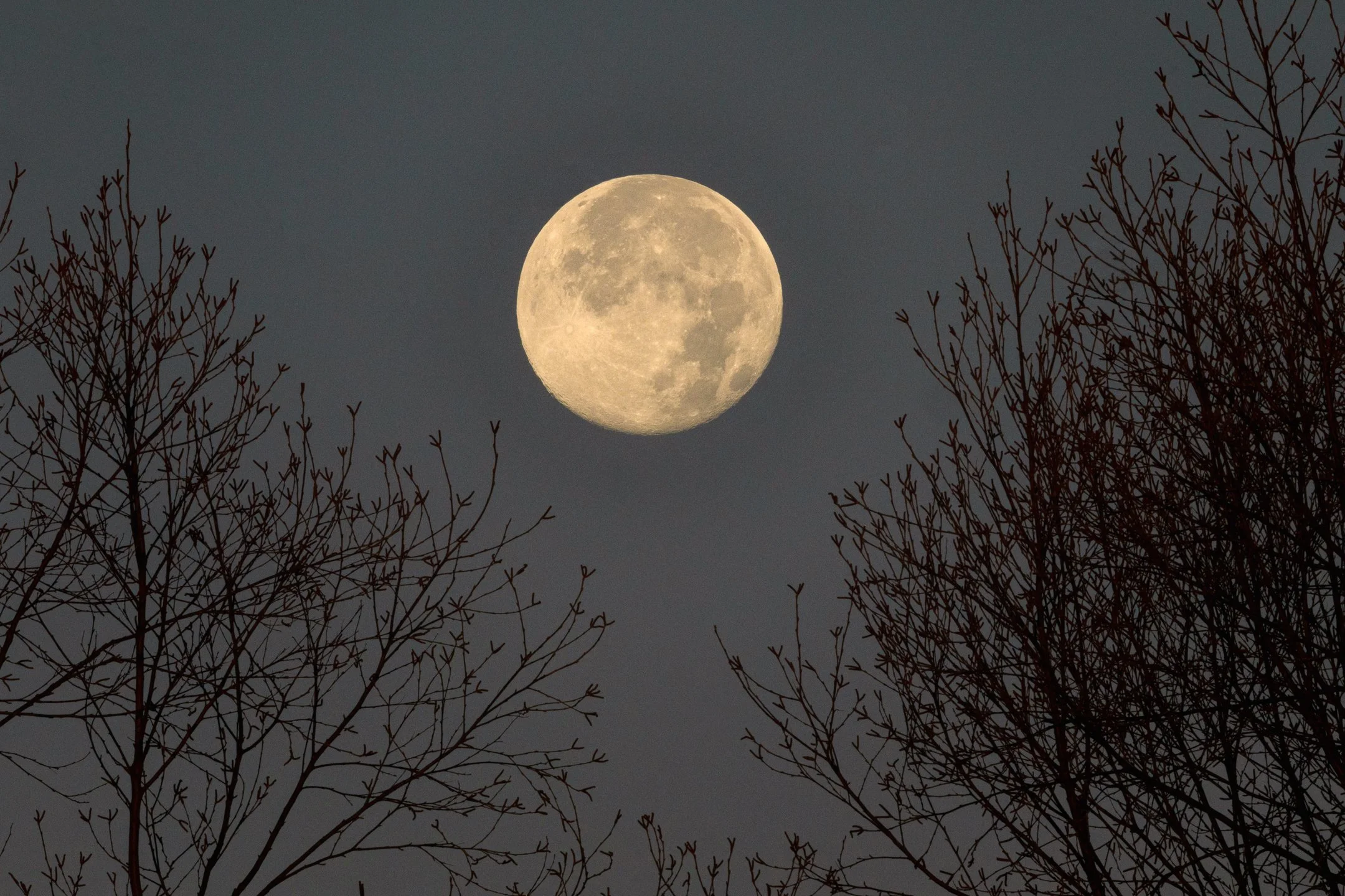 N | Twilight Moon | Norbert Kugele | Score: 20